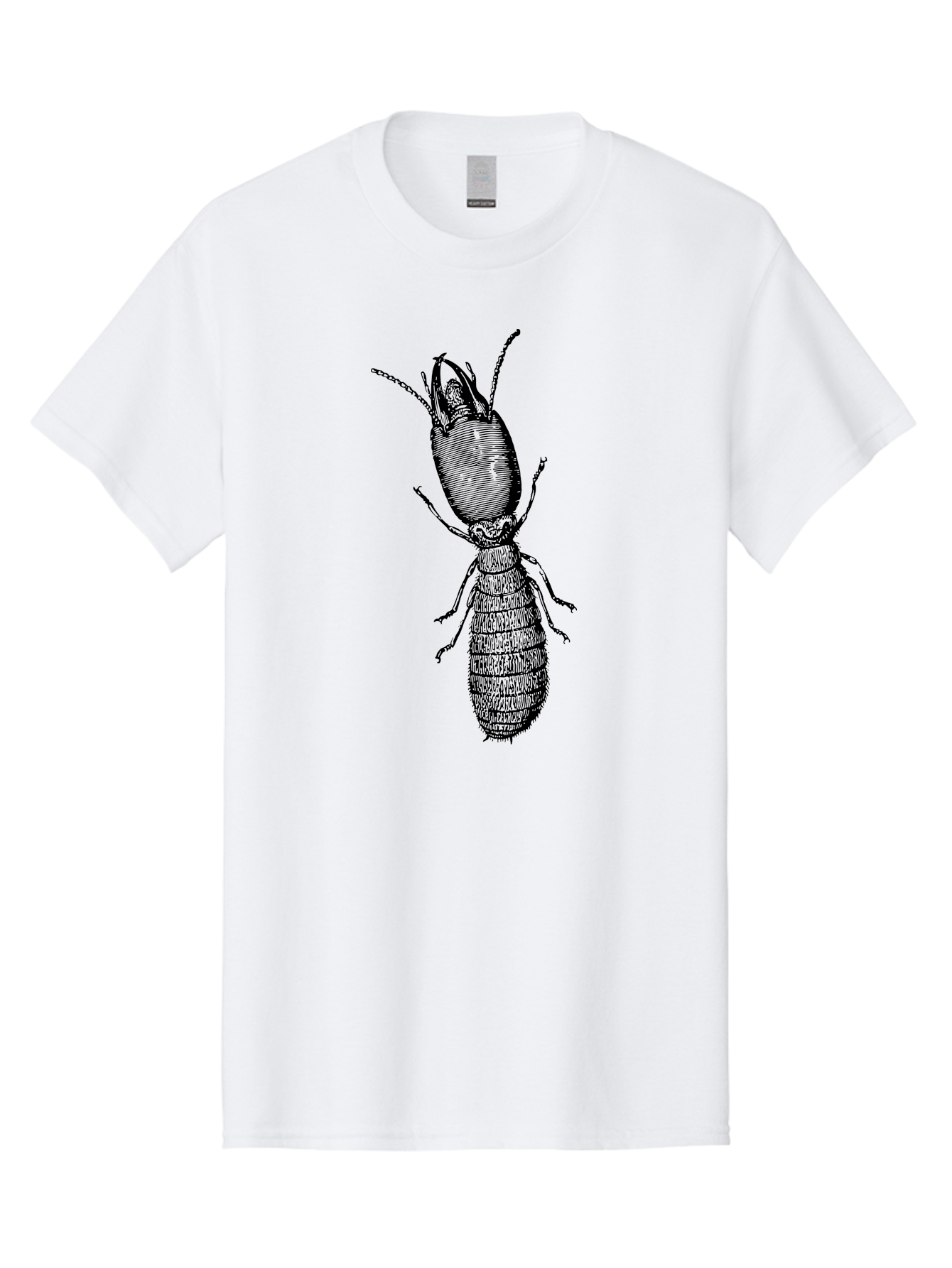 Beetle-Illustration Men'S Graphic Tee, 100% Cotton, Comfortable Casual Summer Wear, Machine Washable, Insect Anatomy, Entomology Illustration, Beetle Species, Detailed Drawing, Scientific Artwork, Insect Morphology, Nature Study Aab509 29