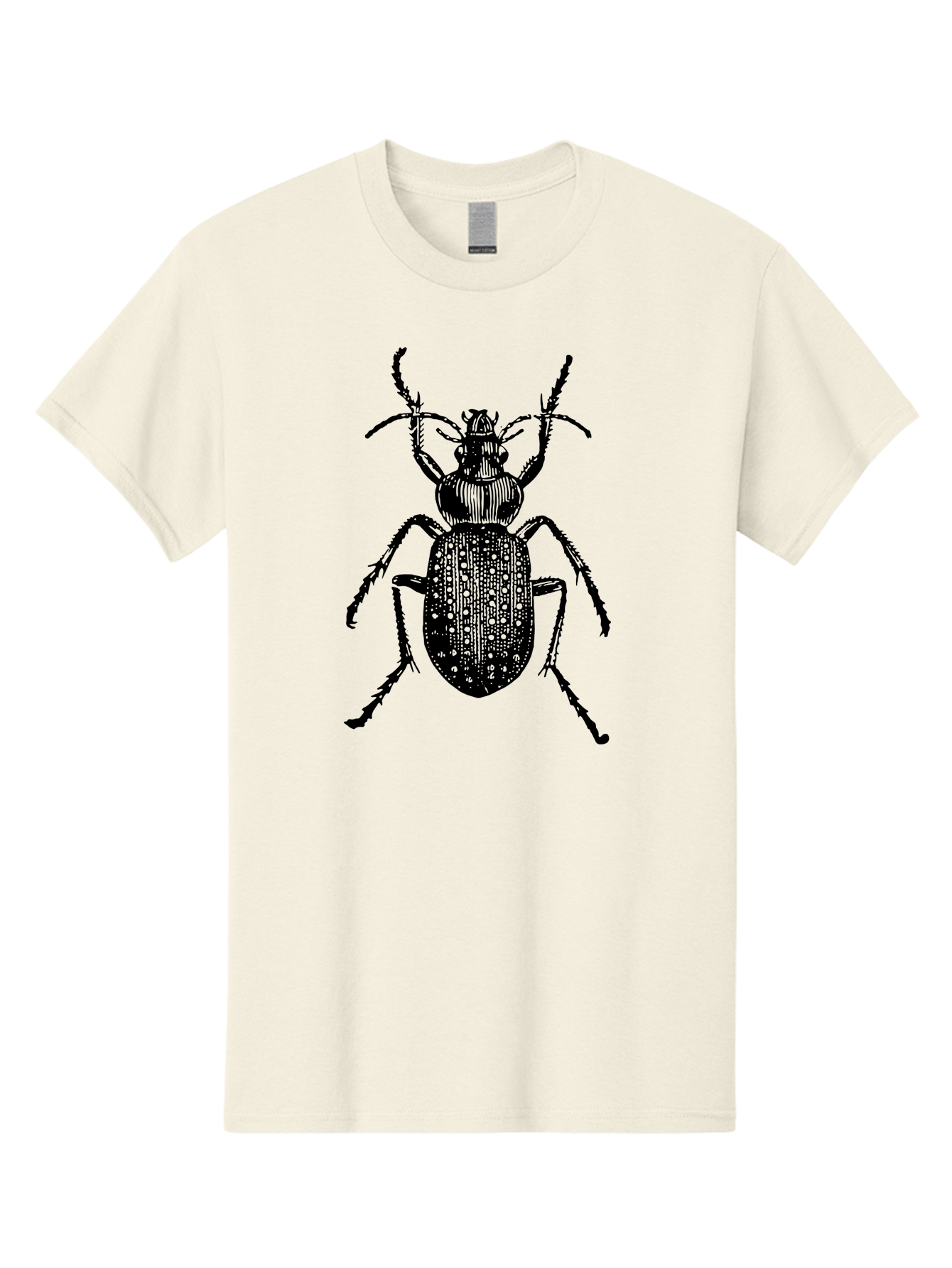 Beetle Men'S Graphic Tee, 100% Cotton, Comfortable Casual Summer Wear, Machine Washable, Black Beetle, Insect Illustration, Detailed Drawing, Entomology Art, Bug Graphic, Beetle Silhouette, Six Legs, Antennae, Insect Anatomy, Ornate Details Aab510 17