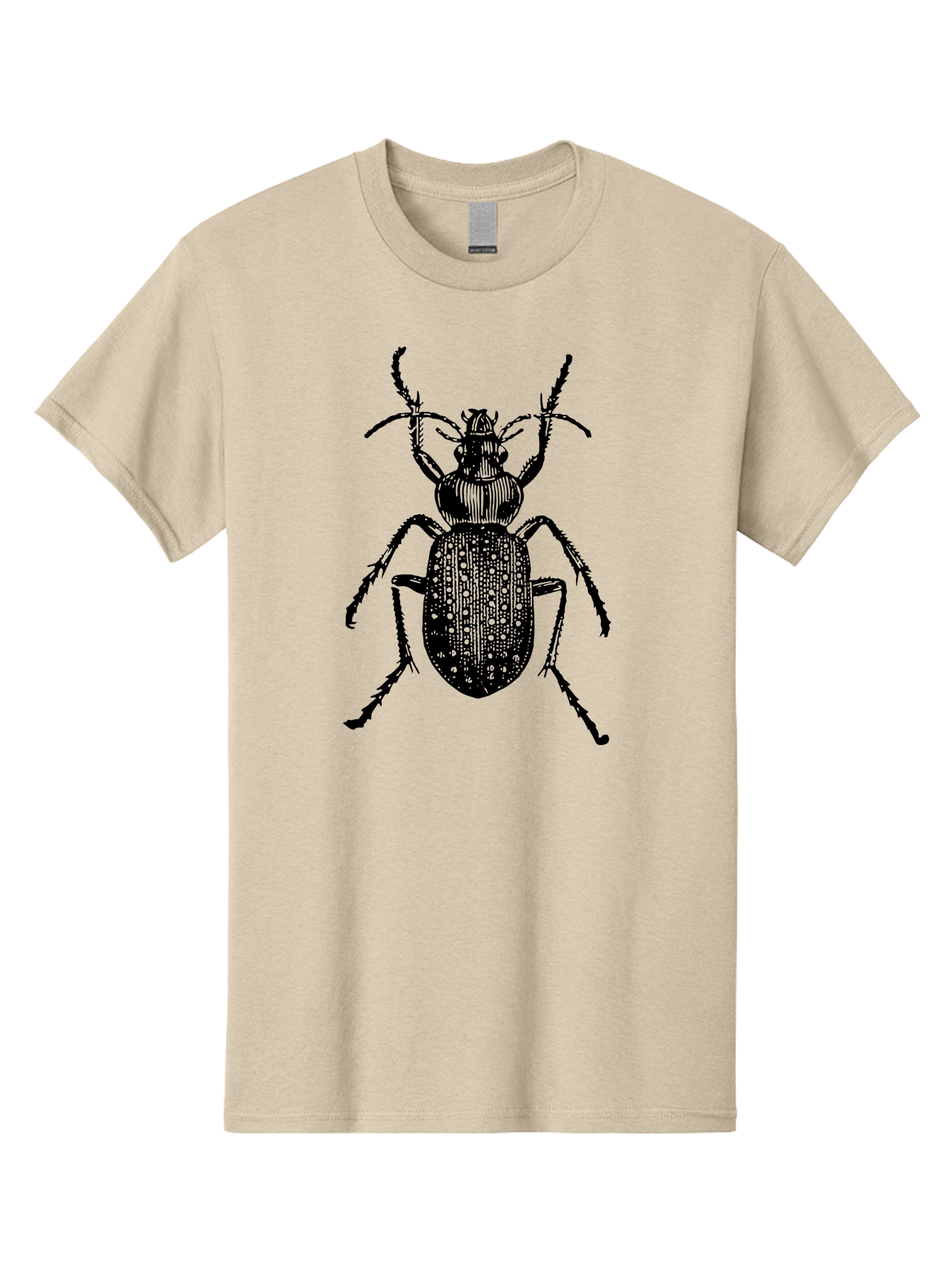 Beetle Men'S Graphic Tee, 100% Cotton, Comfortable Casual Summer Wear, Machine Washable, Black Beetle, Insect Illustration, Detailed Drawing, Entomology Art, Bug Graphic, Beetle Silhouette, Six Legs, Antennae, Insect Anatomy, Ornate Details Aab510 27