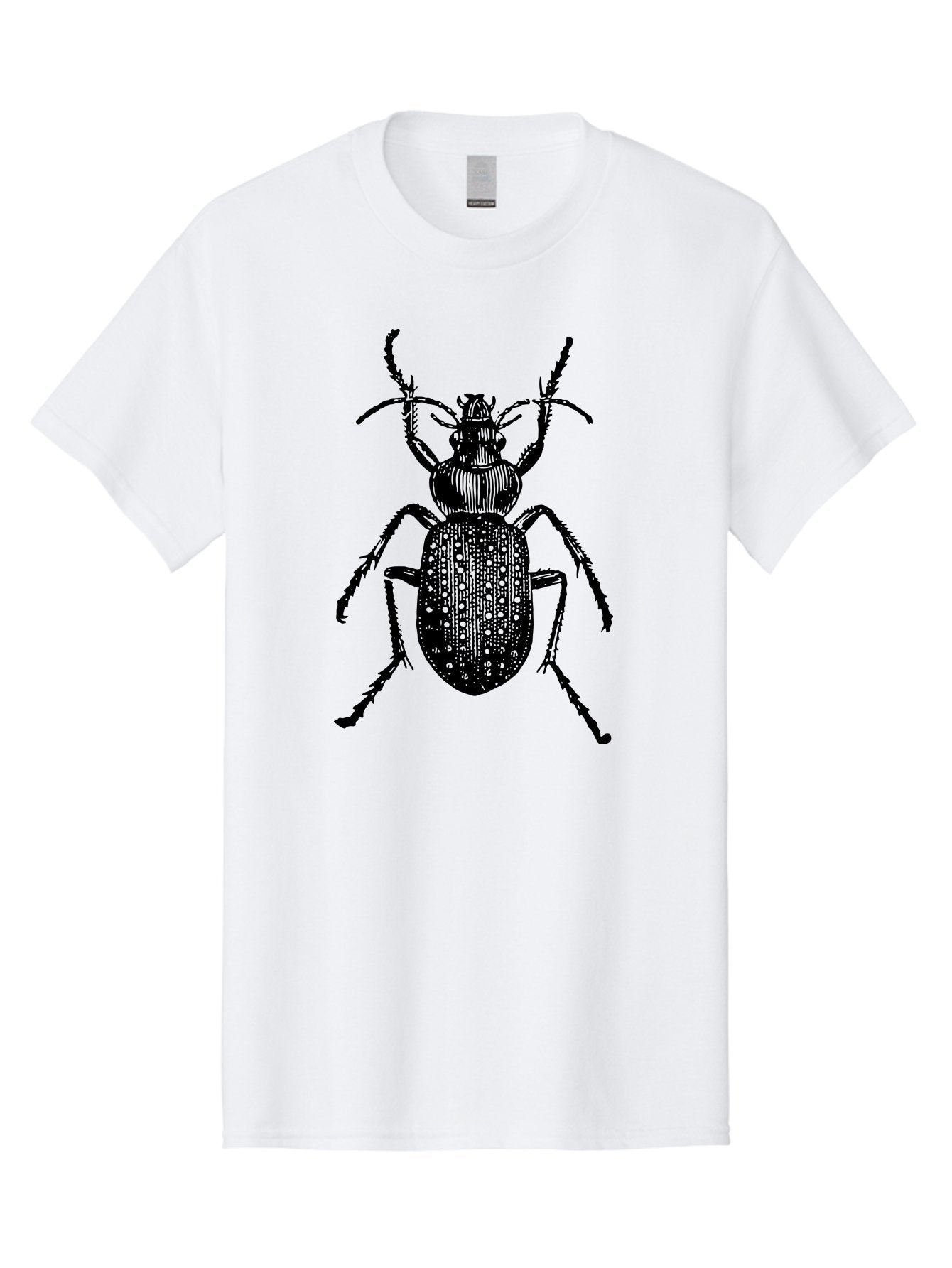 Beetle Men'S Graphic Tee, 100% Cotton, Comfortable Casual Summer Wear, Machine Washable, Black Beetle, Insect Illustration, Detailed Drawing, Entomology Art, Bug Graphic, Beetle Silhouette, Six Legs, Antennae, Insect Anatomy, Ornate Details Aab510