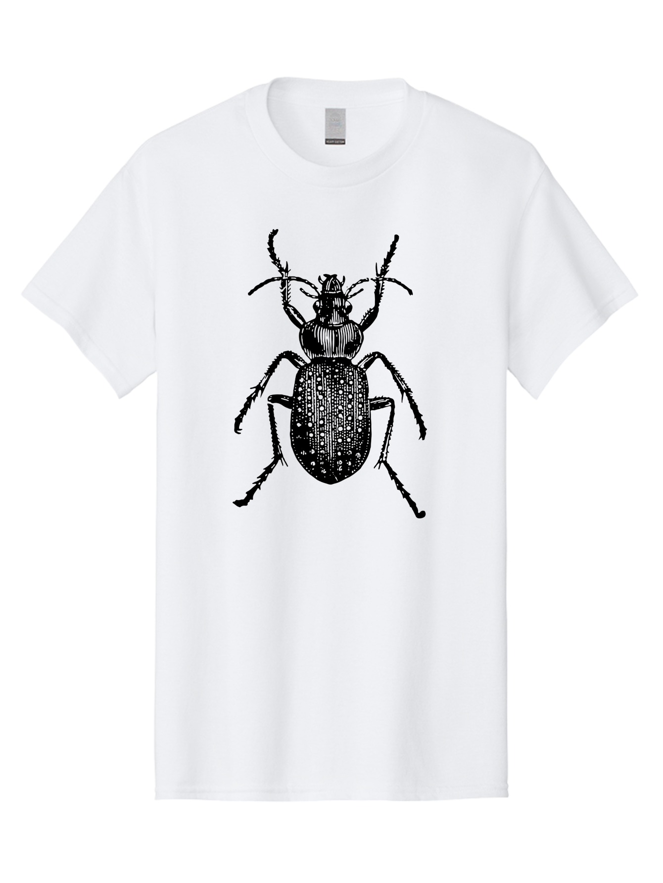 Beetle Men'S Graphic Tee, 100% Cotton, Comfortable Casual Summer Wear, Machine Washable, Black Beetle, Insect Illustration, Detailed Drawing, Entomology Art, Bug Graphic, Beetle Silhouette, Six Legs, Antennae, Insect Anatomy, Ornate Details Aab510 29