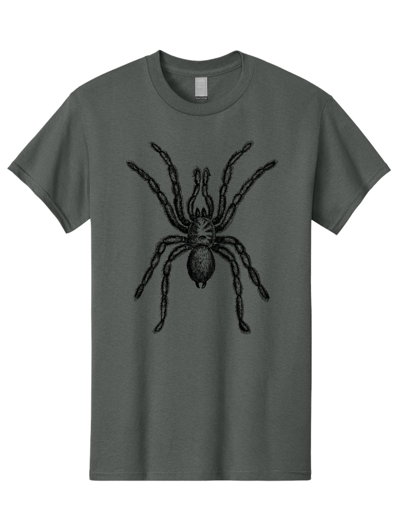 Black-Widow Men'S Graphic Tee, 100% Cotton, Comfortable Casual Summer Wear, Machine Washable, Black Widow Spider, Arachnid, Eight Legs, Venomous Spider, Spider Illustration, Detailed Drawing, Black And Green, Spider Art Aab511 15