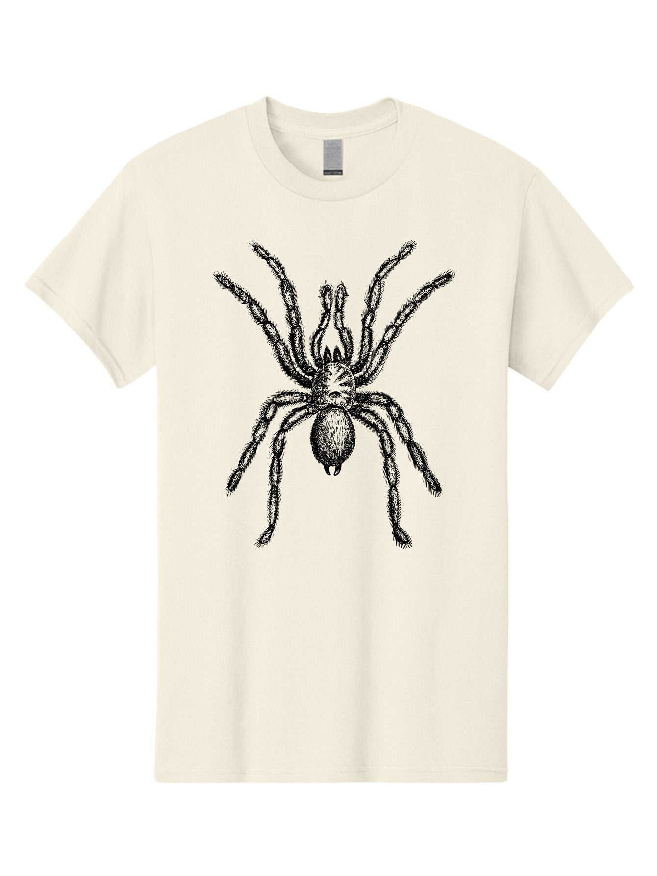 Black-Widow Men'S Graphic Tee, 100% Cotton, Comfortable Casual Summer Wear, Machine Washable, Black Widow Spider, Arachnid, Eight Legs, Venomous Spider, Spider Illustration, Detailed Drawing, Black And Green, Spider Art Aab511 11