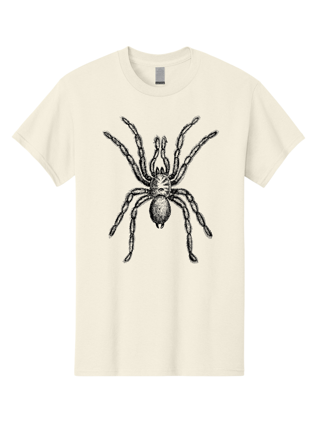 Black-Widow Men'S Graphic Tee, 100% Cotton, Comfortable Casual Summer Wear, Machine Washable, Black Widow Spider, Arachnid, Eight Legs, Venomous Spider, Spider Illustration, Detailed Drawing, Black And Green, Spider Art Aab511 17