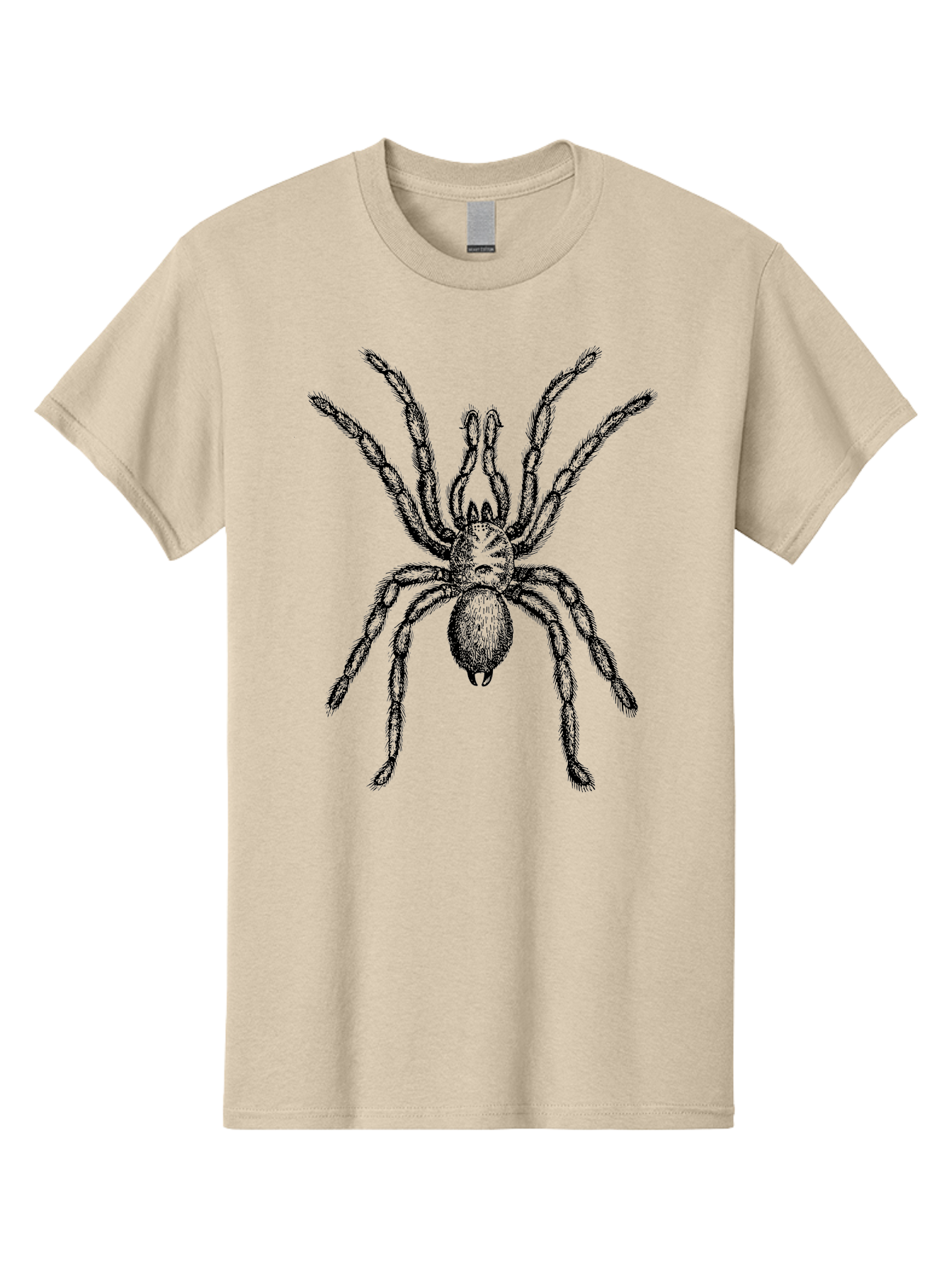 Black-Widow Men'S Graphic Tee, 100% Cotton, Comfortable Casual Summer Wear, Machine Washable, Black Widow Spider, Arachnid, Eight Legs, Venomous Spider, Spider Illustration, Detailed Drawing, Black And Green, Spider Art Aab511 27