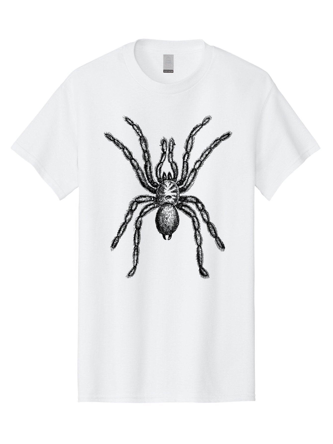 Black-Widow Men'S Graphic Tee, 100% Cotton, Comfortable Casual Summer Wear, Machine Washable, Black Widow Spider, Arachnid, Eight Legs, Venomous Spider, Spider Illustration, Detailed Drawing, Black And Green, Spider Art Aab511 5