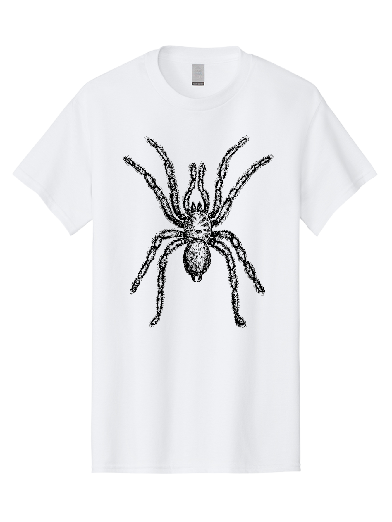 Black-Widow Men'S Graphic Tee, 100% Cotton, Comfortable Casual Summer Wear, Machine Washable, Black Widow Spider, Arachnid, Eight Legs, Venomous Spider, Spider Illustration, Detailed Drawing, Black And Green, Spider Art Aab511 29