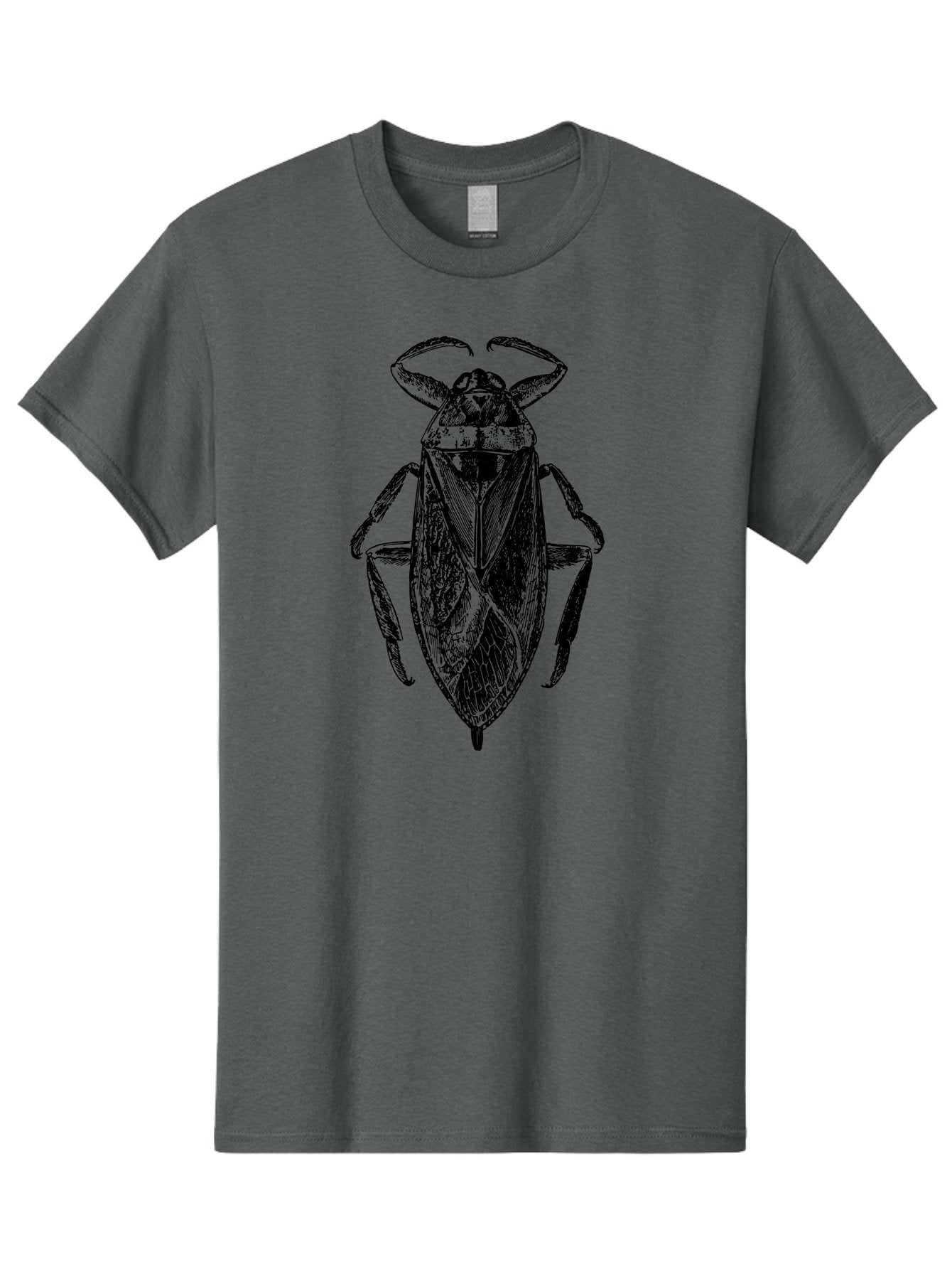 Bug-Illustration Men'S Graphic Tee, 100% Cotton, Comfortable Casual Summer Wear, Machine Washable, Insect Illustration, Entomology Art, Bug Drawing, Water Bug, Insect Anatomy, Wildlife Illustration, Detailed Artwork, Realistic Bug, Aab512 15