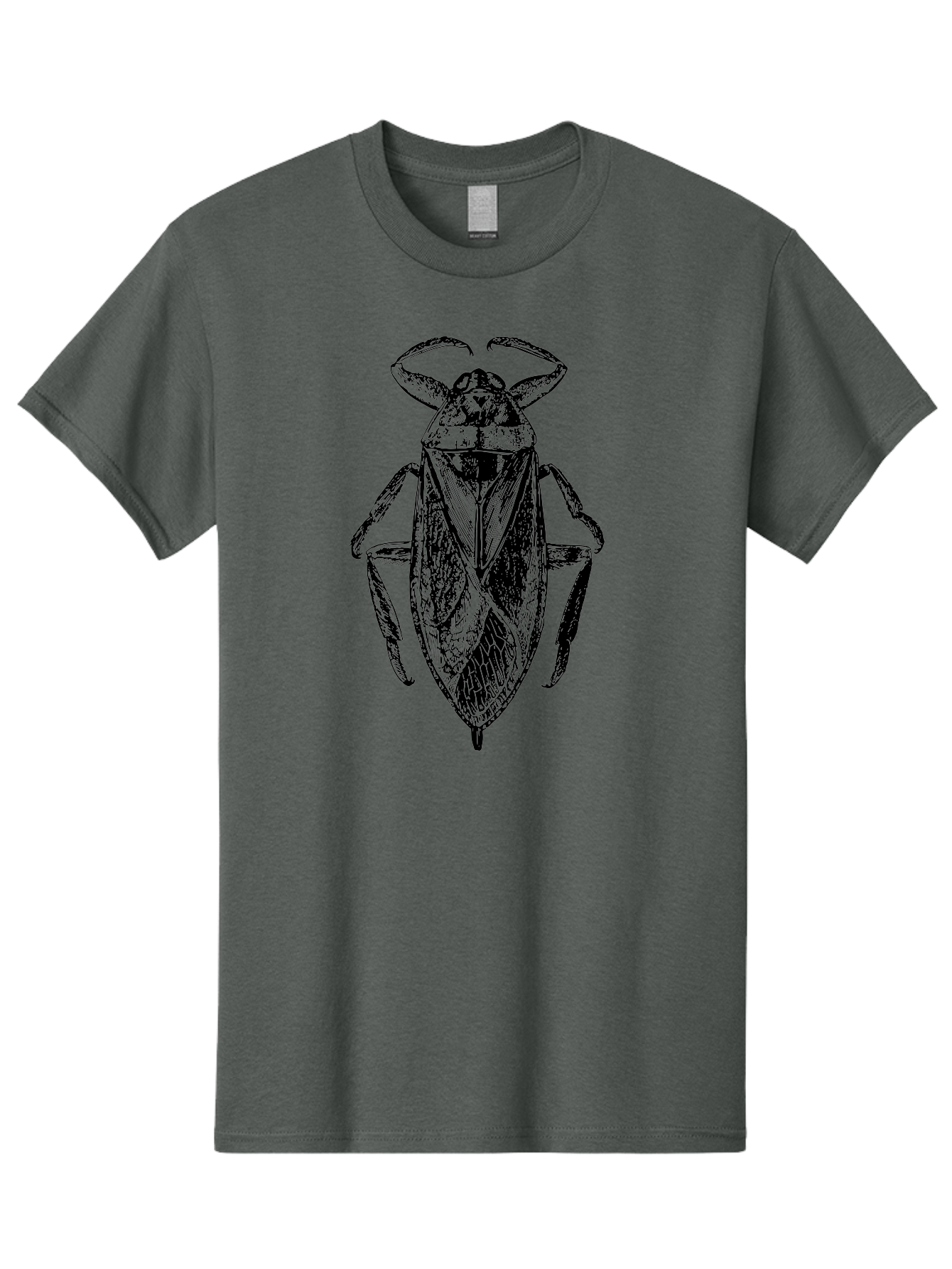 Bug-Illustration Men'S Graphic Tee, 100% Cotton, Comfortable Casual Summer Wear, Machine Washable, Insect Illustration, Entomology Art, Bug Drawing, Water Bug, Insect Anatomy, Wildlife Illustration, Detailed Artwork, Realistic Bug, Aab512 3