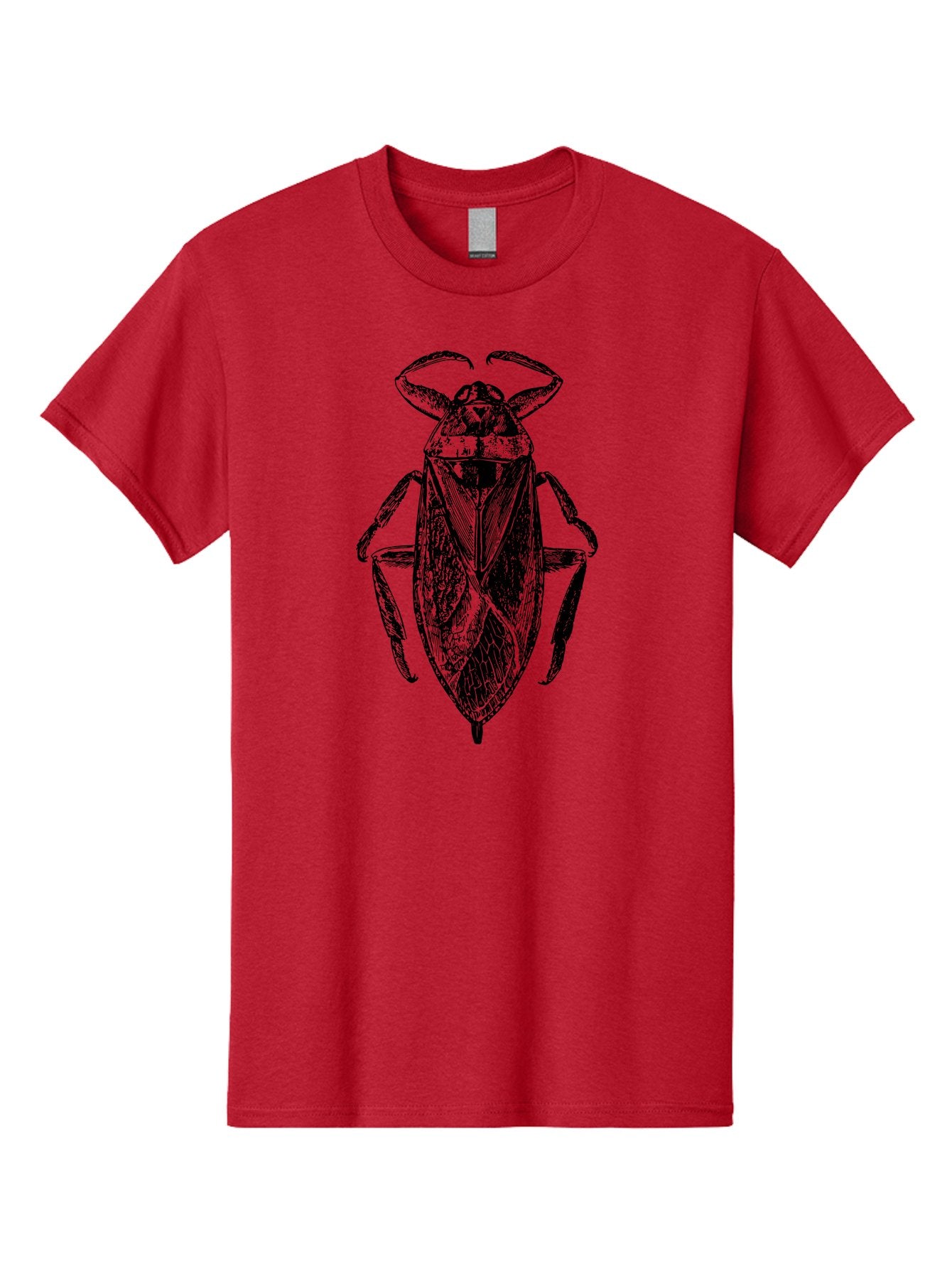 Bug-Illustration Men'S Graphic Tee, 100% Cotton, Comfortable Casual Summer Wear, Machine Washable, Insect Illustration, Entomology Art, Bug Drawing, Water Bug, Insect Anatomy, Wildlife Illustration, Detailed Artwork, Realistic Bug, Aab512 10