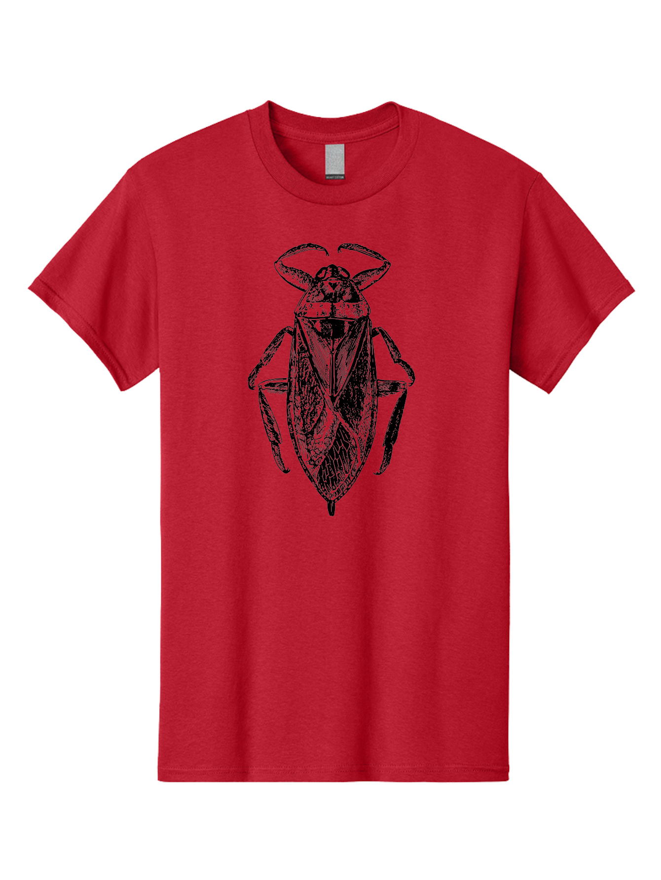 Bug-Illustration Men'S Graphic Tee, 100% Cotton, Comfortable Casual Summer Wear, Machine Washable, Insect Illustration, Entomology Art, Bug Drawing, Water Bug, Insect Anatomy, Wildlife Illustration, Detailed Artwork, Realistic Bug, Aab512 23