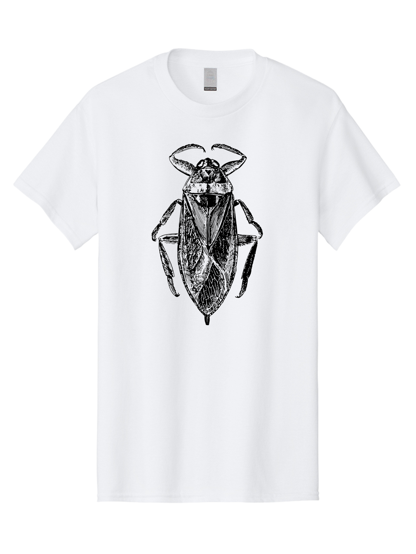 Bug-Illustration Men'S Graphic Tee, 100% Cotton, Comfortable Casual Summer Wear, Machine Washable, Insect Illustration, Entomology Art, Bug Drawing, Water Bug, Insect Anatomy, Wildlife Illustration, Detailed Artwork, Realistic Bug, Aab512 29