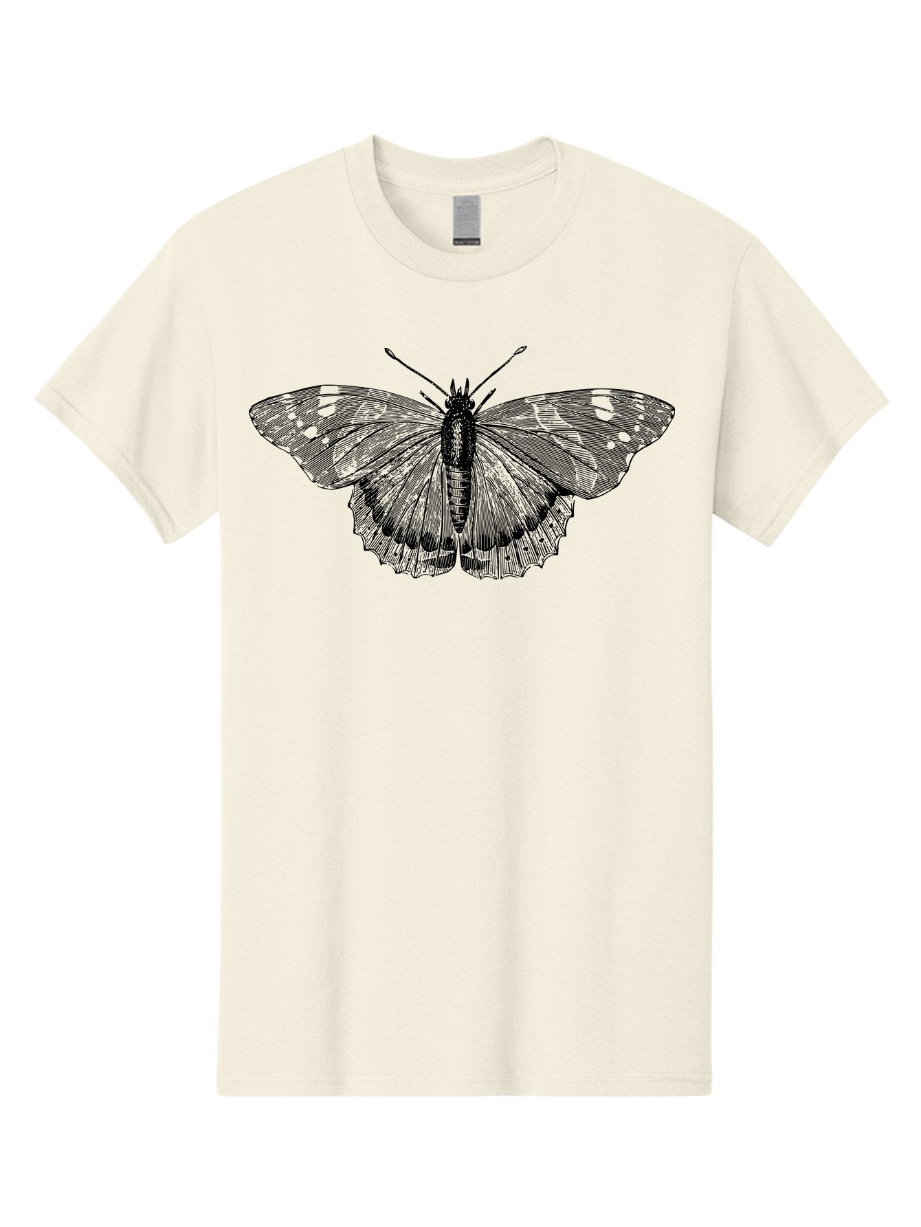 Butterfly-1 Men'S Graphic Tee, 100% Cotton, Comfortable Casual Summer Wear, Machine Washable, Butterfly With Open Wings, Detailed Illustration, Insect Art, Wing Patterns, Insect Anatomy, Natural Design, Delicate Lines Aab513 13