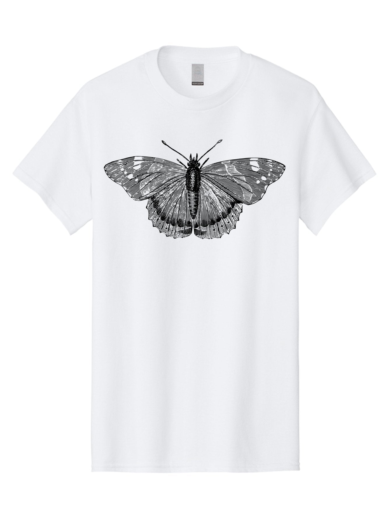 Butterfly-1 Men'S Graphic Tee, 100% Cotton, Comfortable Casual Summer Wear, Machine Washable, Butterfly With Open Wings, Detailed Illustration, Insect Art, Wing Patterns, Insect Anatomy, Natural Design, Delicate Lines Aab513 15