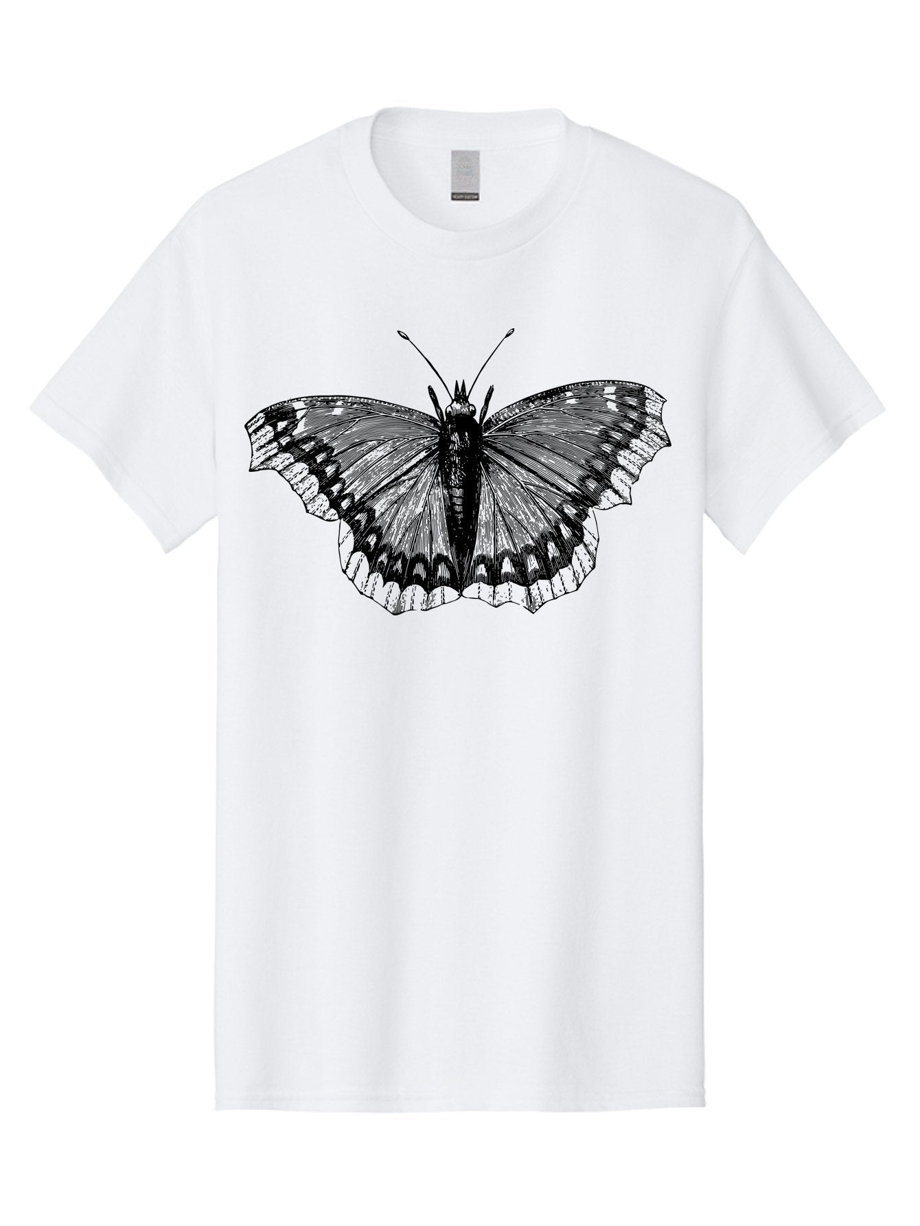 Butterfly-Illustration Men'S Graphic Tee, 100% Cotton, Comfortable Casual Summer Wear, Machine Washable, Butterfly Illustration, Insect Art, Wing Patterns, Detailed Drawing, Black And Green Hues, Fragile Beauty, Natural Design Aab514 10