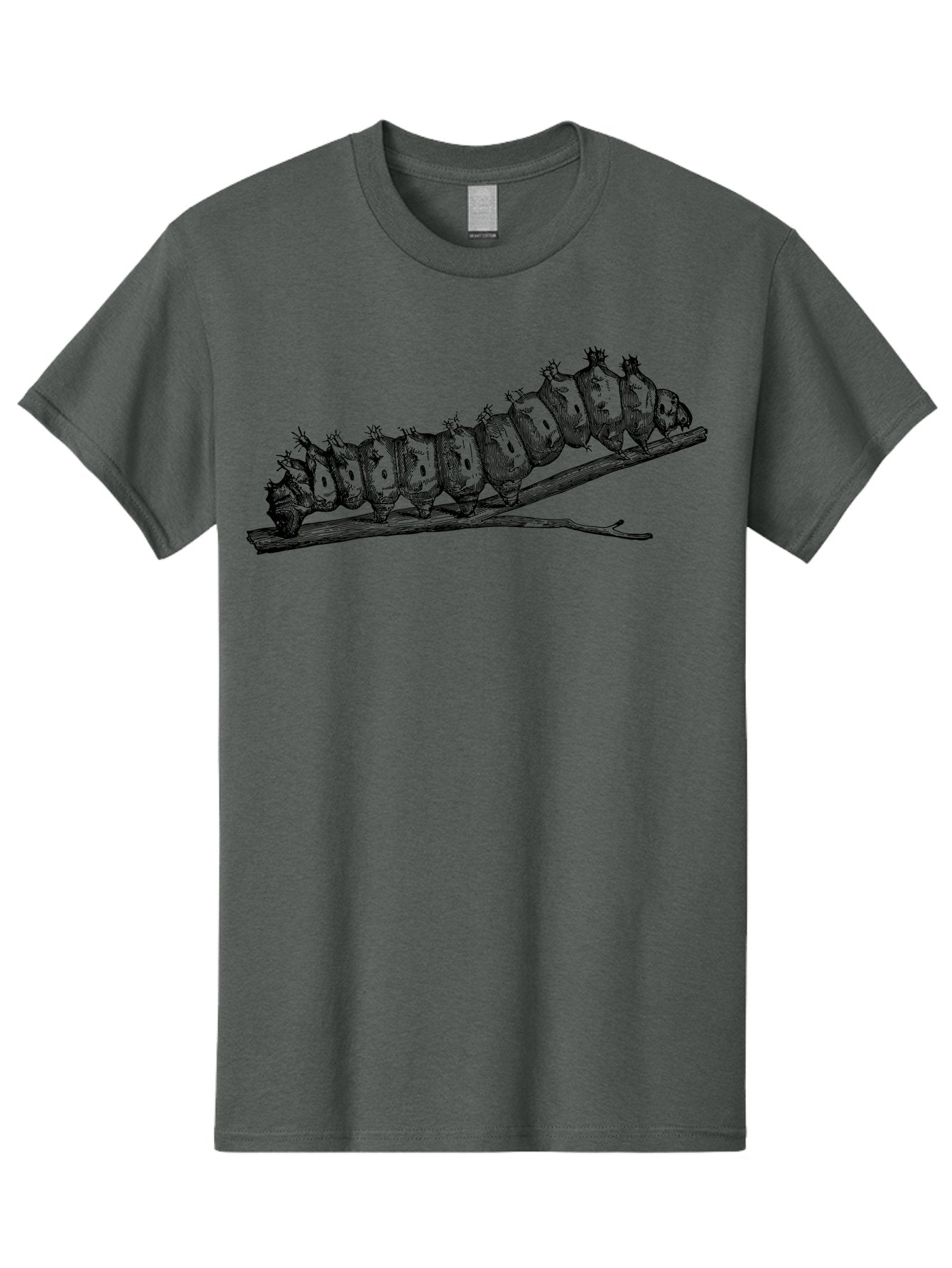 Caterpillar-On-Branch Men'S Graphic Tee, 100% Cotton, Comfortable Casual Summer Wear, Machine Washable, Caterpillar On Branch, Insect Metamorphosis, Garden Pests, Butterfly Life Cycle, Caterpillar Stages, Insect Illustration, Entomology Art Aab518 15