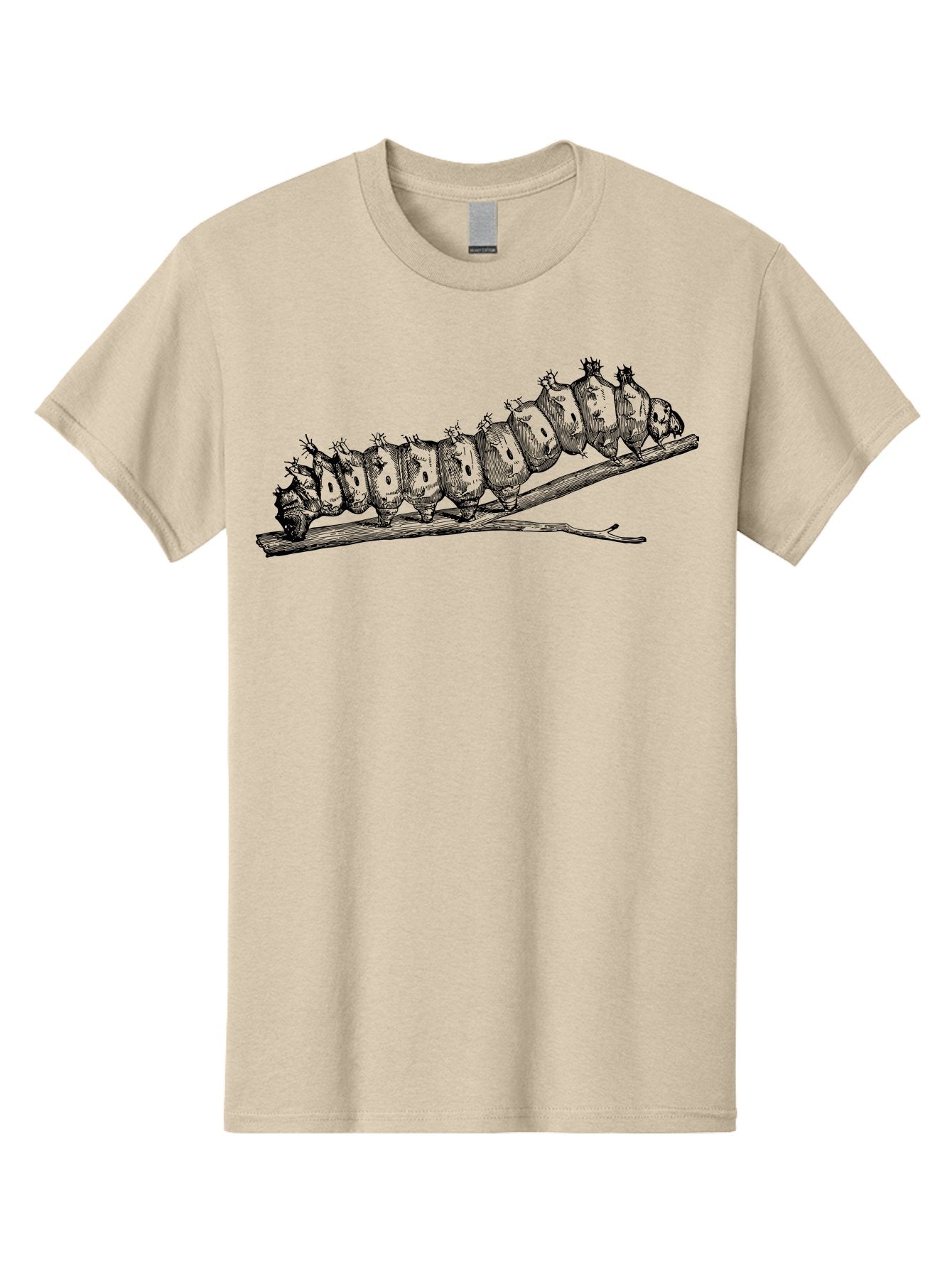 Caterpillar-On-Branch Men'S Graphic Tee, 100% Cotton, Comfortable Casual Summer Wear, Machine Washable, Caterpillar On Branch, Insect Metamorphosis, Garden Pests, Butterfly Life Cycle, Caterpillar Stages, Insect Illustration, Entomology Art Aab518 7