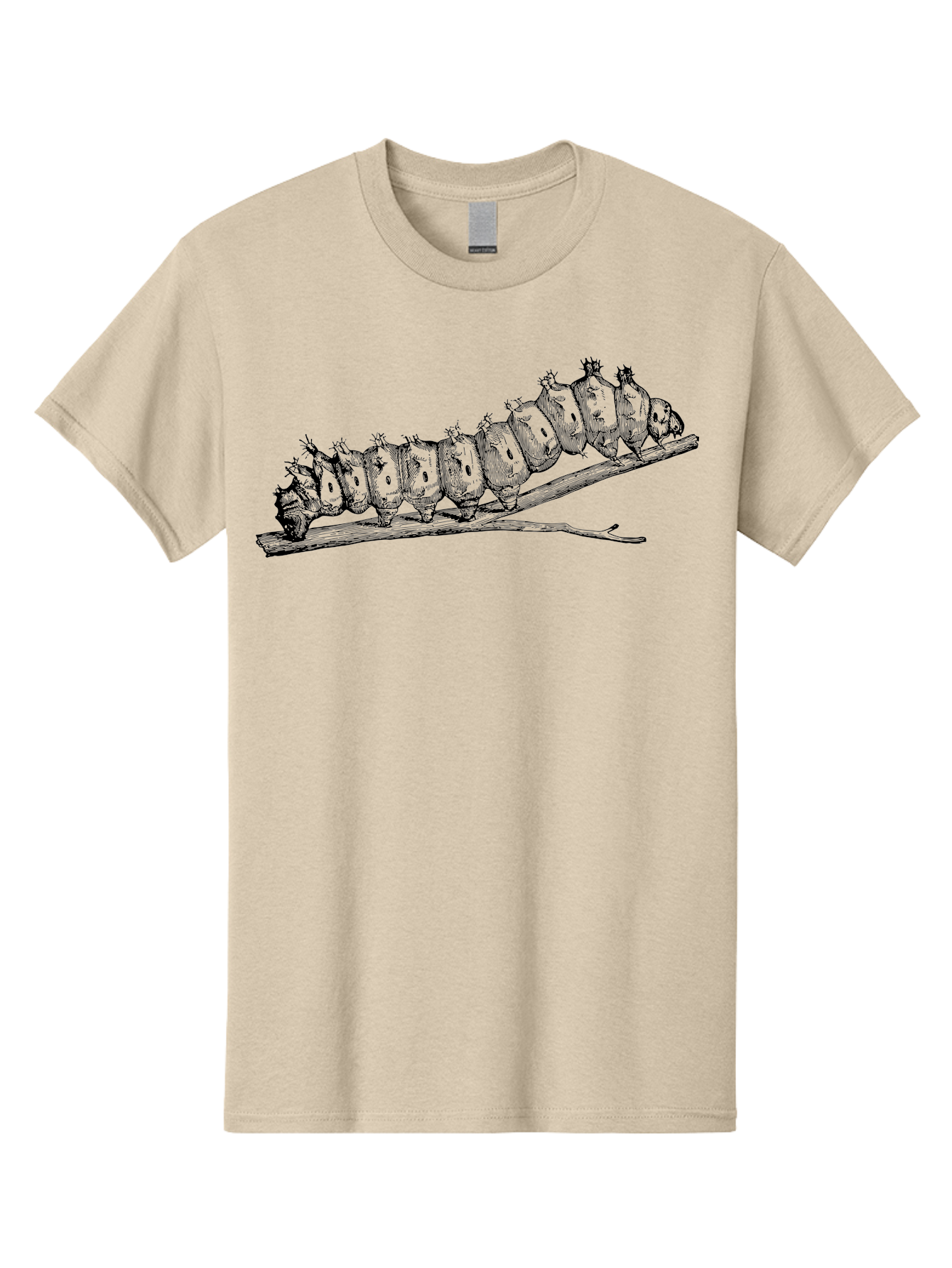 Caterpillar-On-Branch Men'S Graphic Tee, 100% Cotton, Comfortable Casual Summer Wear, Machine Washable, Caterpillar On Branch, Insect Metamorphosis, Garden Pests, Butterfly Life Cycle, Caterpillar Stages, Insect Illustration, Entomology Art Aab518 25