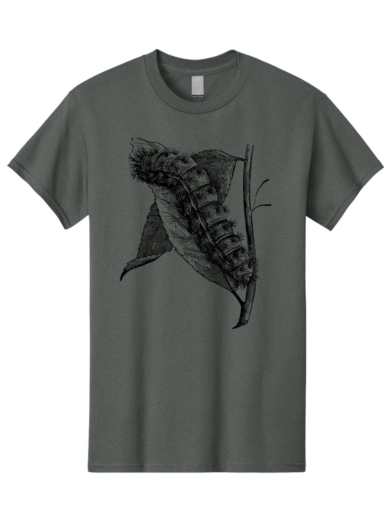 Caterpillar-On-Leaf Men'S Graphic Tee, 100% Cotton, Comfortable Casual Summer Wear, Machine Washable, Caterpillar On A Leaf, Insect Life Cycle, Metamorphosis, Nature Illustration, Botanical Art, Wildlife, Detailed Drawing, Spiky Caterpillar, Aab520 15