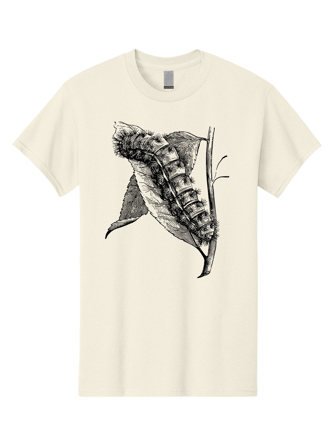 Caterpillar-On-Leaf Men'S Graphic Tee, 100% Cotton, Comfortable Casual Summer Wear, Machine Washable, Caterpillar On A Leaf, Insect Life Cycle, Metamorphosis, Nature Illustration, Botanical Art, Wildlife, Detailed Drawing, Spiky Caterpillar, Aab520 14