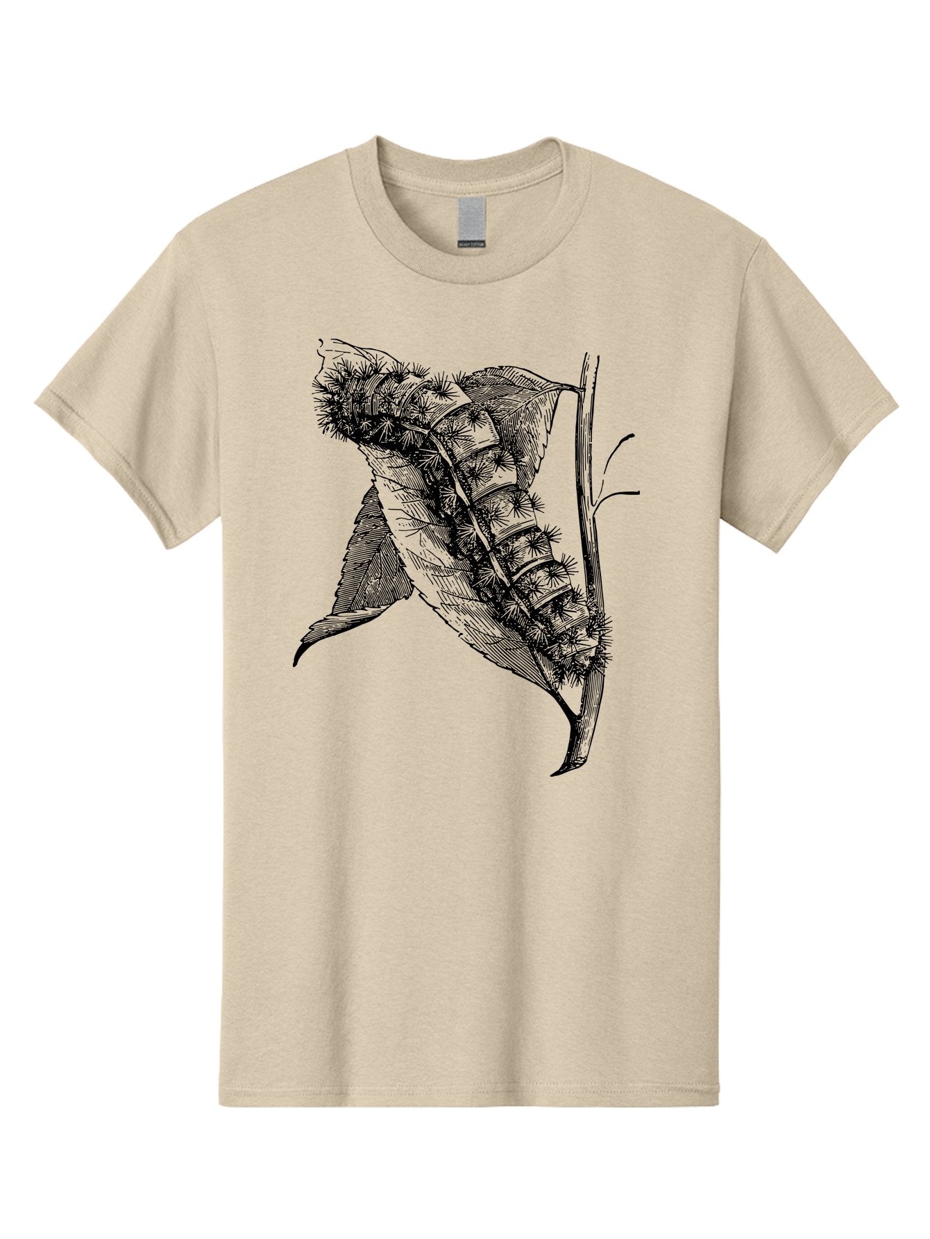 Caterpillar-On-Leaf Men'S Graphic Tee, 100% Cotton, Comfortable Casual Summer Wear, Machine Washable, Caterpillar On A Leaf, Insect Life Cycle, Metamorphosis, Nature Illustration, Botanical Art, Wildlife, Detailed Drawing, Spiky Caterpillar, Aab520 11