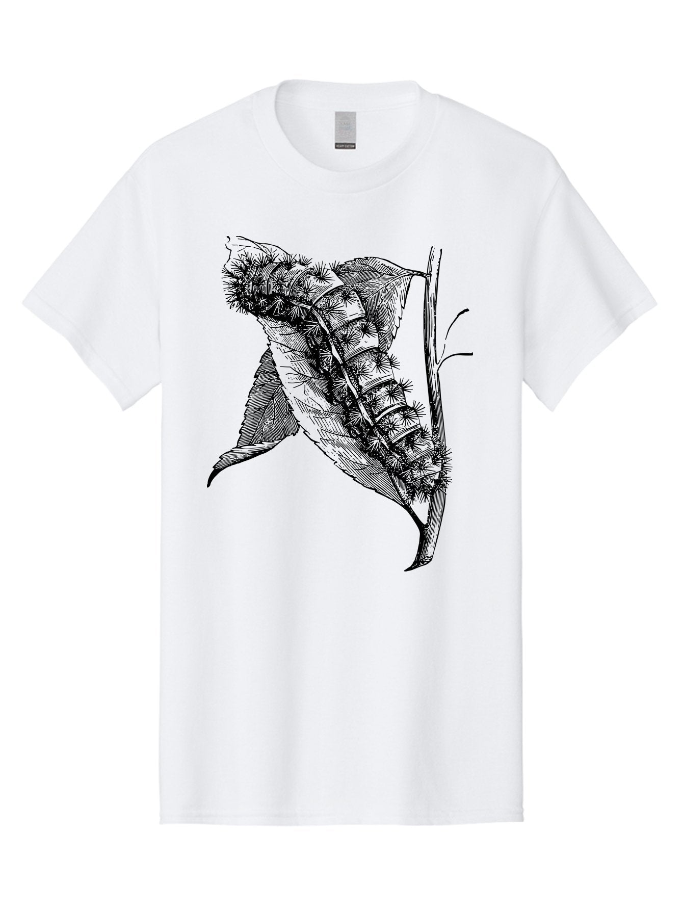 Caterpillar-On-Leaf Men'S Graphic Tee, 100% Cotton, Comfortable Casual Summer Wear, Machine Washable, Caterpillar On A Leaf, Insect Life Cycle, Metamorphosis, Nature Illustration, Botanical Art, Wildlife, Detailed Drawing, Spiky Caterpillar, Aab520 6