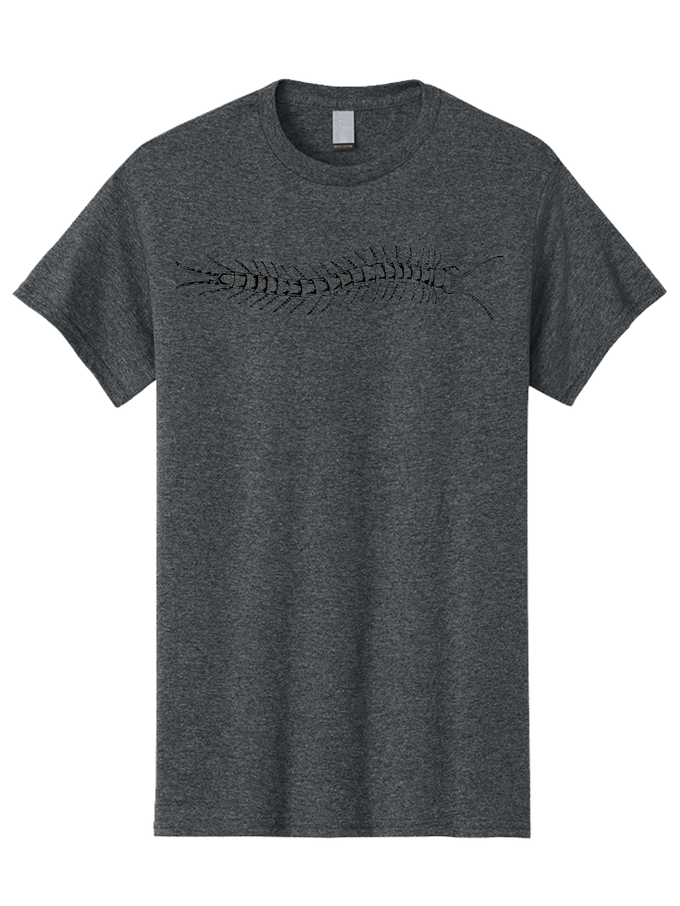 Centipede-1 Men'S Graphic Tee, 100% Cotton, Comfortable Casual Summer Wear, Machine Washable, Centipede, Insect, Arthropod, Segmented Body, Multiple Legs, Long Antennae, Creepy Crawlers, Entomology, Wildlife, Fauna Aab521 7
