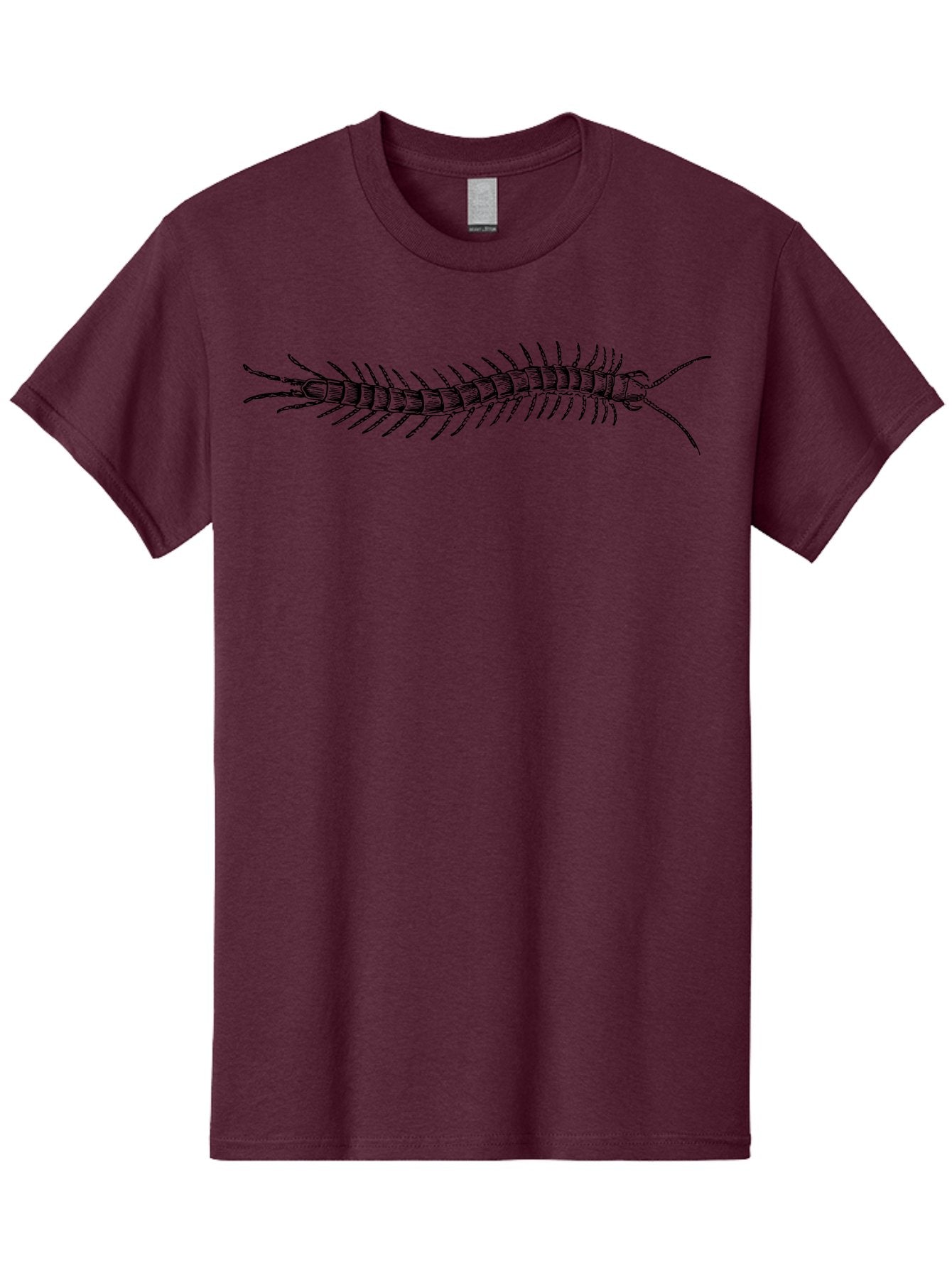 Centipede-1 Men'S Graphic Tee, 100% Cotton, Comfortable Casual Summer Wear, Machine Washable, Centipede, Insect, Arthropod, Segmented Body, Multiple Legs, Long Antennae, Creepy Crawlers, Entomology, Wildlife, Fauna Aab521 8