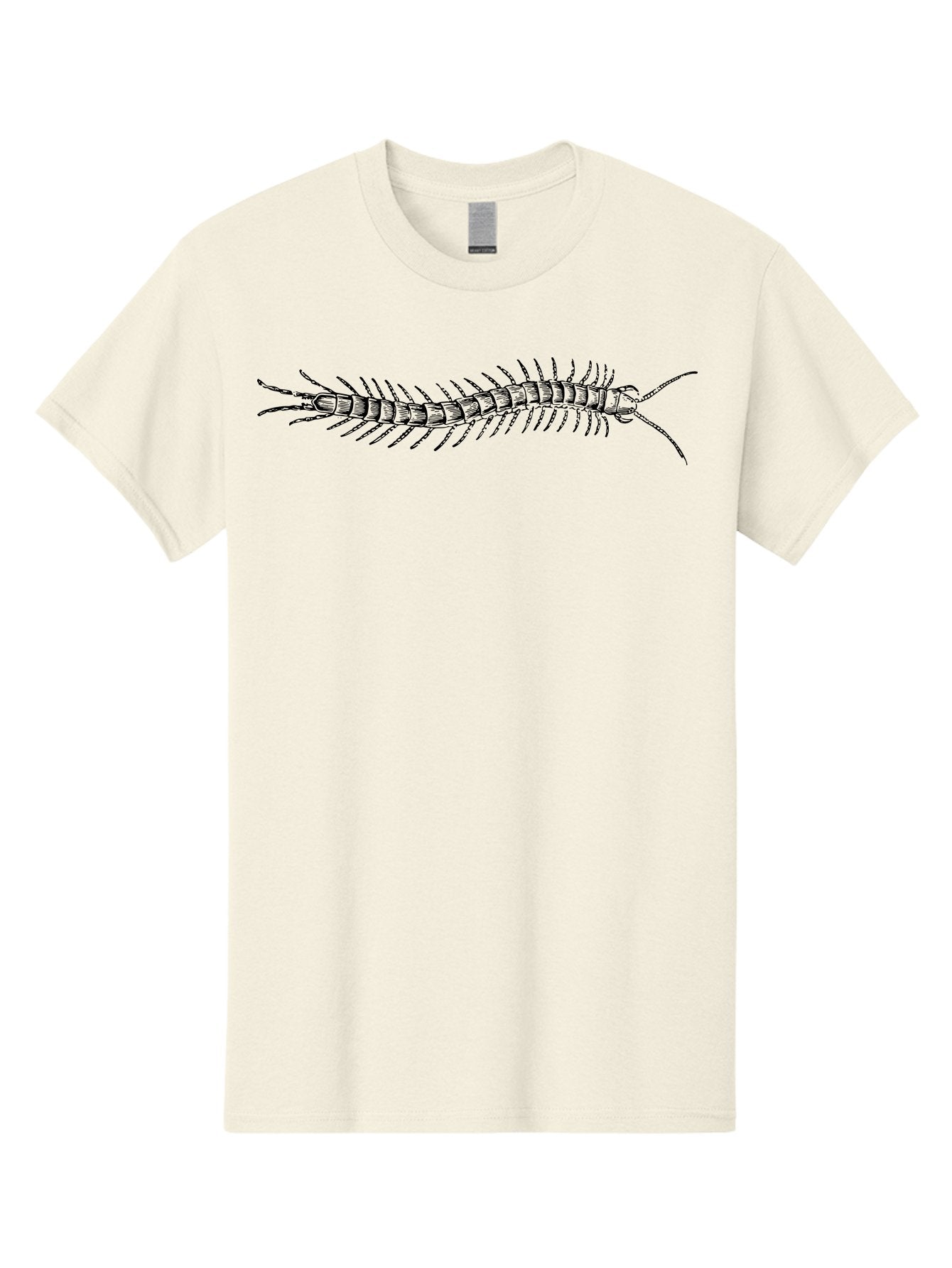 Centipede-1 Men'S Graphic Tee, 100% Cotton, Comfortable Casual Summer Wear, Machine Washable, Centipede, Insect, Arthropod, Segmented Body, Multiple Legs, Long Antennae, Creepy Crawlers, Entomology, Wildlife, Fauna Aab521 14