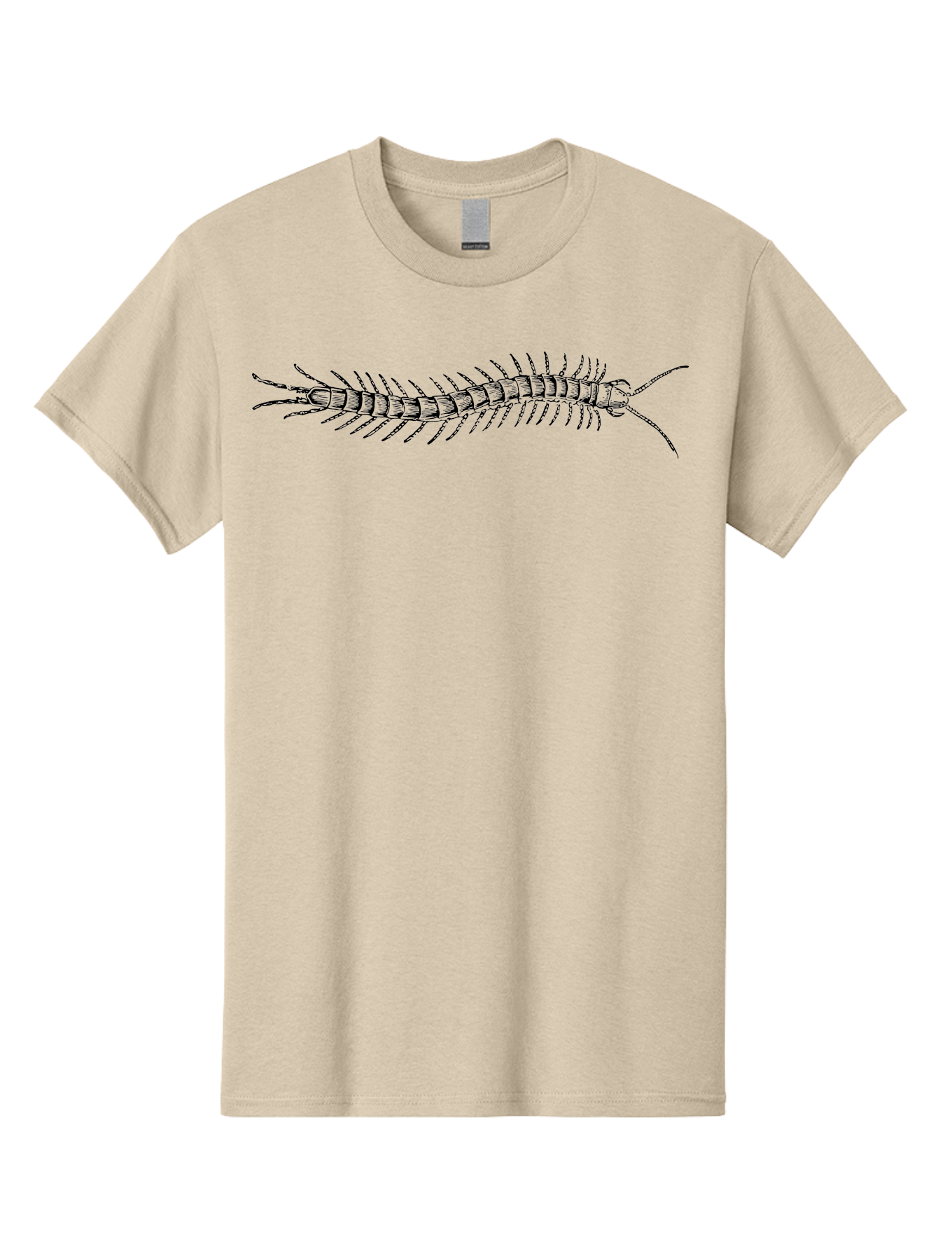 Centipede-1 Men'S Graphic Tee, 100% Cotton, Comfortable Casual Summer Wear, Machine Washable, Centipede, Insect, Arthropod, Segmented Body, Multiple Legs, Long Antennae, Creepy Crawlers, Entomology, Wildlife, Fauna Aab521 27