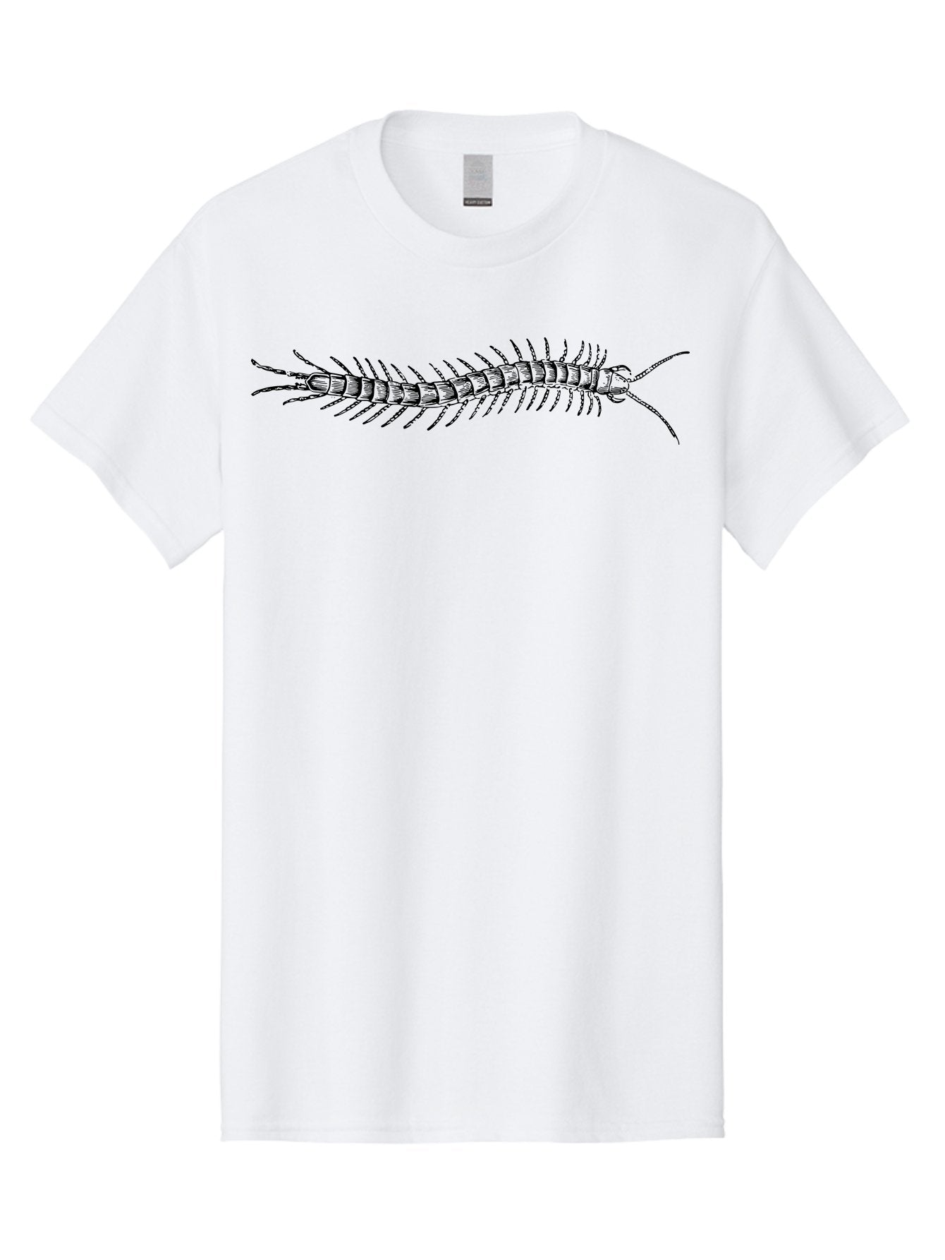 Centipede-1 Men'S Graphic Tee, 100% Cotton, Comfortable Casual Summer Wear, Machine Washable, Centipede, Insect, Arthropod, Segmented Body, Multiple Legs, Long Antennae, Creepy Crawlers, Entomology, Wildlife, Fauna Aab521 10