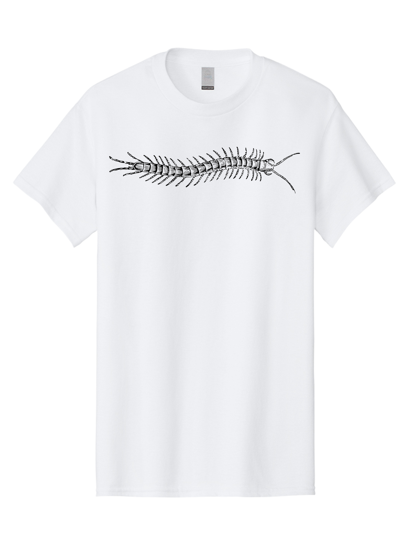 Centipede-1 Men'S Graphic Tee, 100% Cotton, Comfortable Casual Summer Wear, Machine Washable, Centipede, Insect, Arthropod, Segmented Body, Multiple Legs, Long Antennae, Creepy Crawlers, Entomology, Wildlife, Fauna Aab521 29