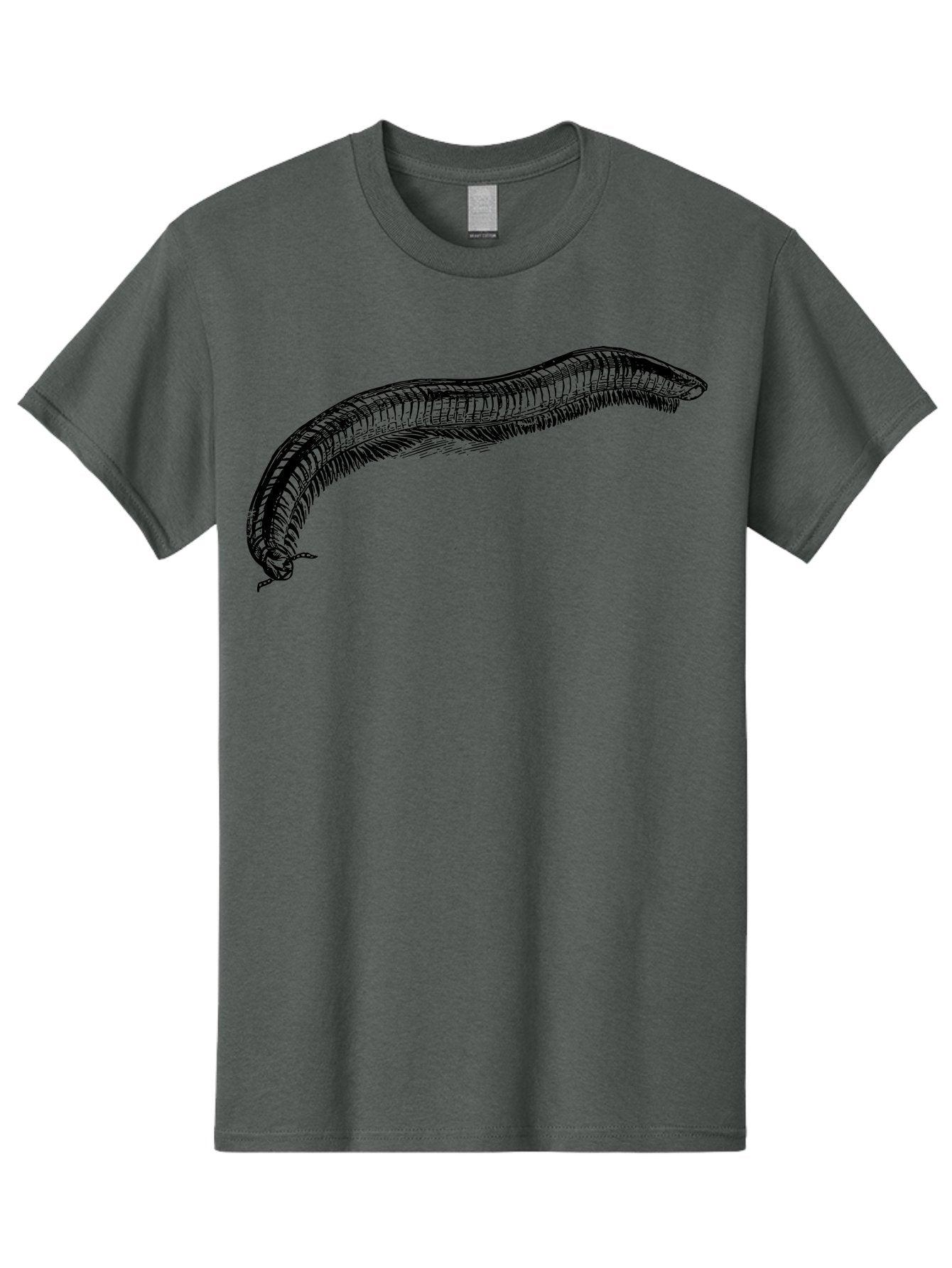 Centipede Men'S Graphic Tee, 100% Cotton, Comfortable Casual Summer Wear, Machine Washable, Centipede, Arthropod, Insect Anatomy, Detailed Drawing, Black Lines, Simple Background, Invertebrate, Segmented Body, Many Legs Aab522 3