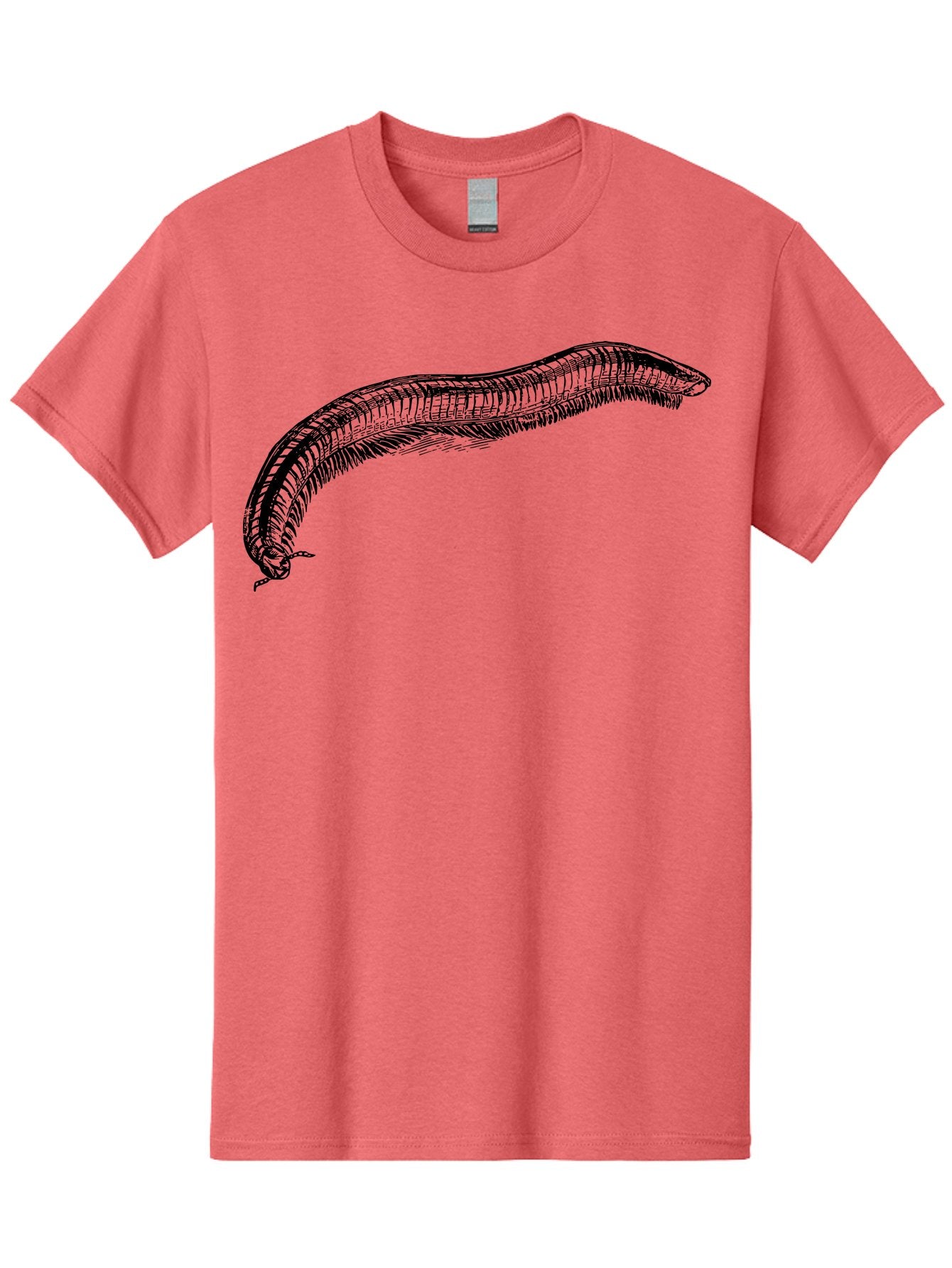 Centipede Men'S Graphic Tee, 100% Cotton, Comfortable Casual Summer Wear, Machine Washable, Centipede, Arthropod, Insect Anatomy, Detailed Drawing, Black Lines, Simple Background, Invertebrate, Segmented Body, Many Legs Aab522 12