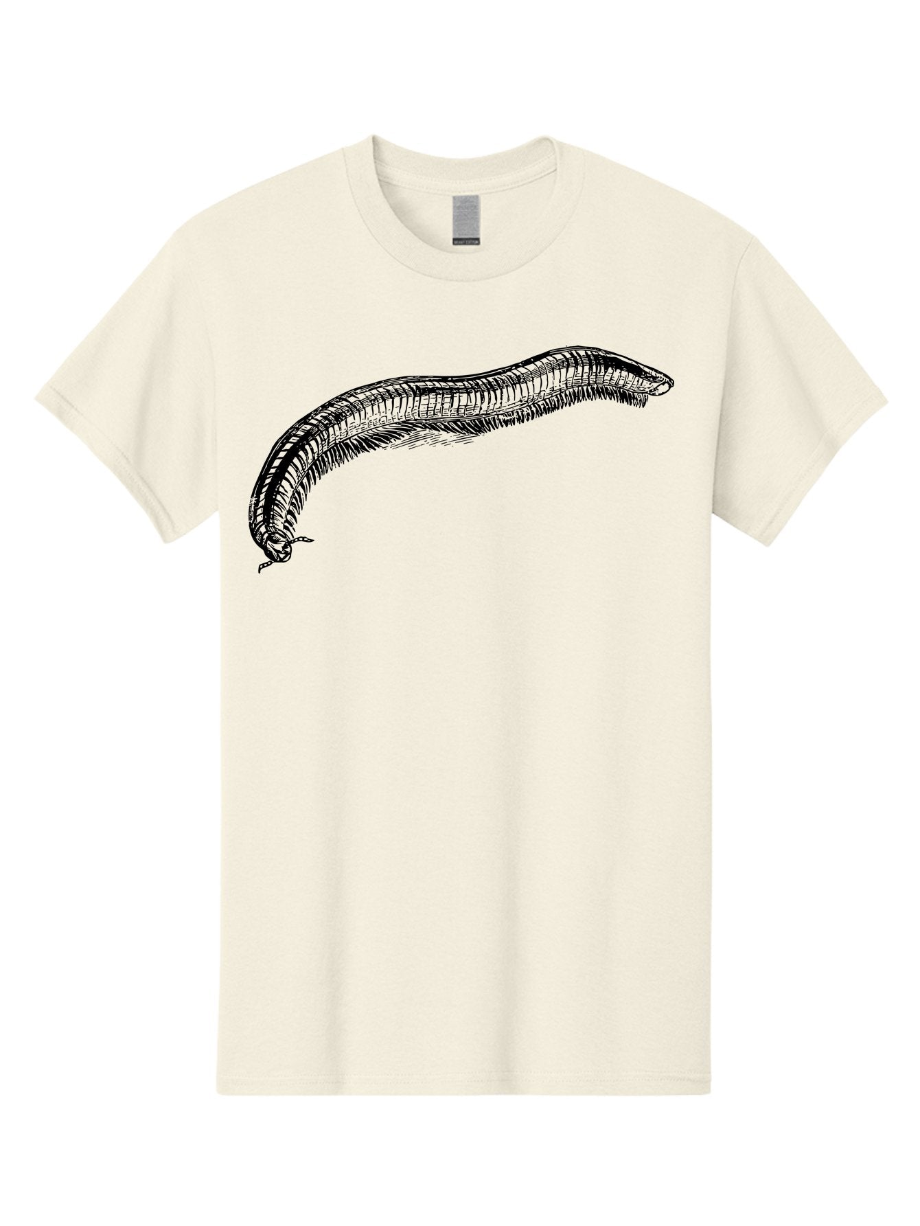 Centipede Men'S Graphic Tee, 100% Cotton, Comfortable Casual Summer Wear, Machine Washable, Centipede, Arthropod, Insect Anatomy, Detailed Drawing, Black Lines, Simple Background, Invertebrate, Segmented Body, Many Legs Aab522 10