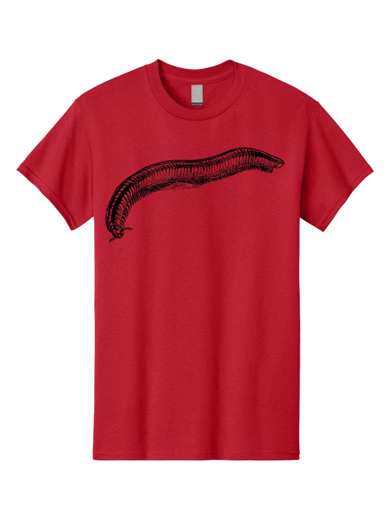 Centipede Men'S Graphic Tee, 100% Cotton, Comfortable Casual Summer Wear, Machine Washable, Centipede, Arthropod, Insect Anatomy, Detailed Drawing, Black Lines, Simple Background, Invertebrate, Segmented Body, Many Legs Aab522 14