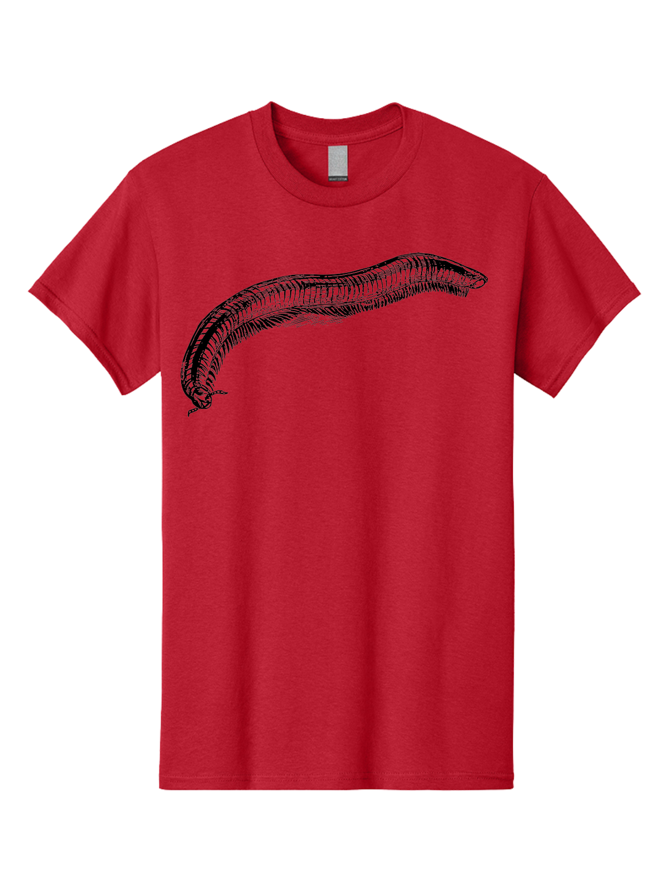 Centipede Men'S Graphic Tee, 100% Cotton, Comfortable Casual Summer Wear, Machine Washable, Centipede, Arthropod, Insect Anatomy, Detailed Drawing, Black Lines, Simple Background, Invertebrate, Segmented Body, Many Legs Aab522 23