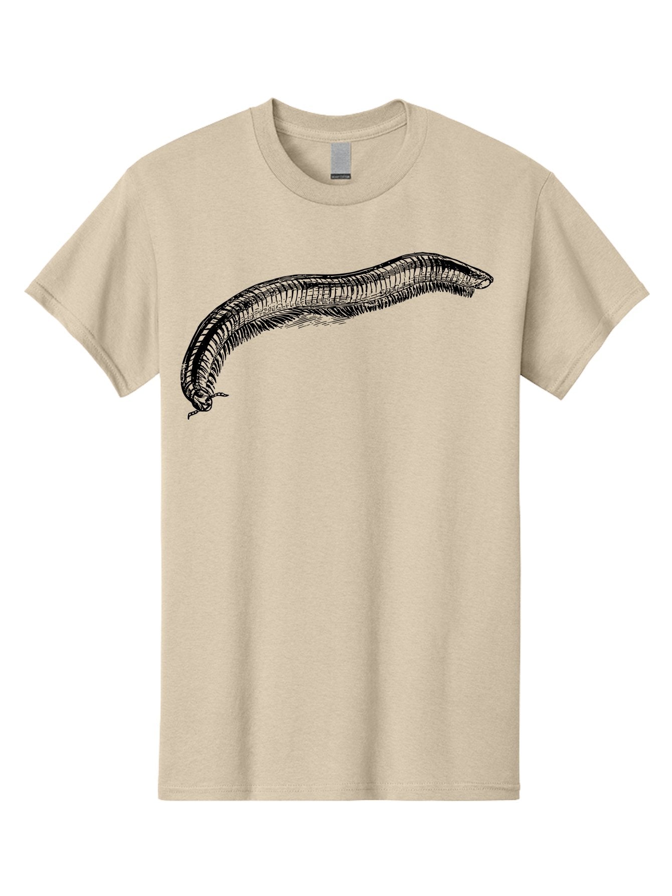 Centipede Men'S Graphic Tee, 100% Cotton, Comfortable Casual Summer Wear, Machine Washable, Centipede, Arthropod, Insect Anatomy, Detailed Drawing, Black Lines, Simple Background, Invertebrate, Segmented Body, Many Legs Aab522 5