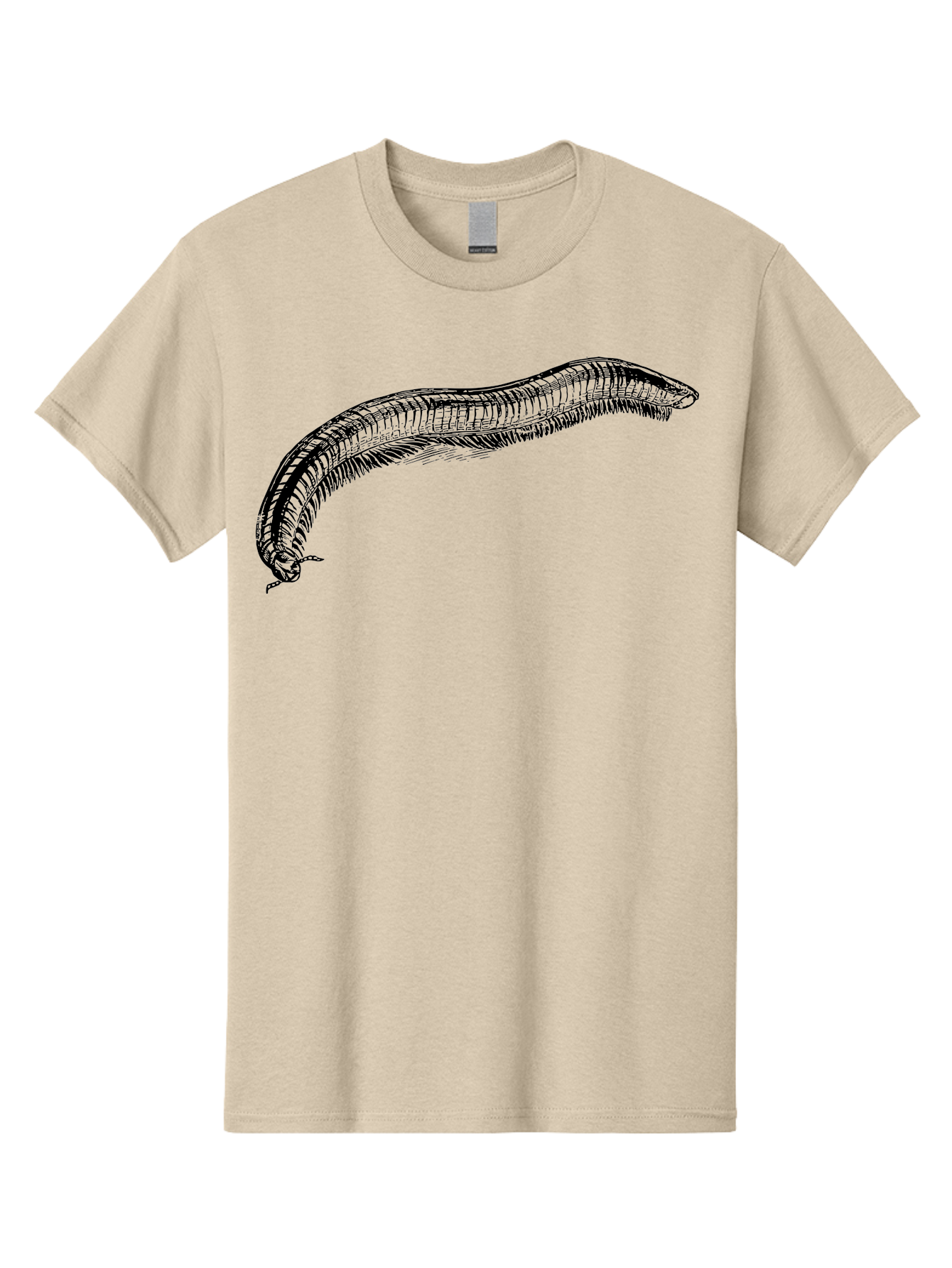 Centipede Men'S Graphic Tee, 100% Cotton, Comfortable Casual Summer Wear, Machine Washable, Centipede, Arthropod, Insect Anatomy, Detailed Drawing, Black Lines, Simple Background, Invertebrate, Segmented Body, Many Legs Aab522 27