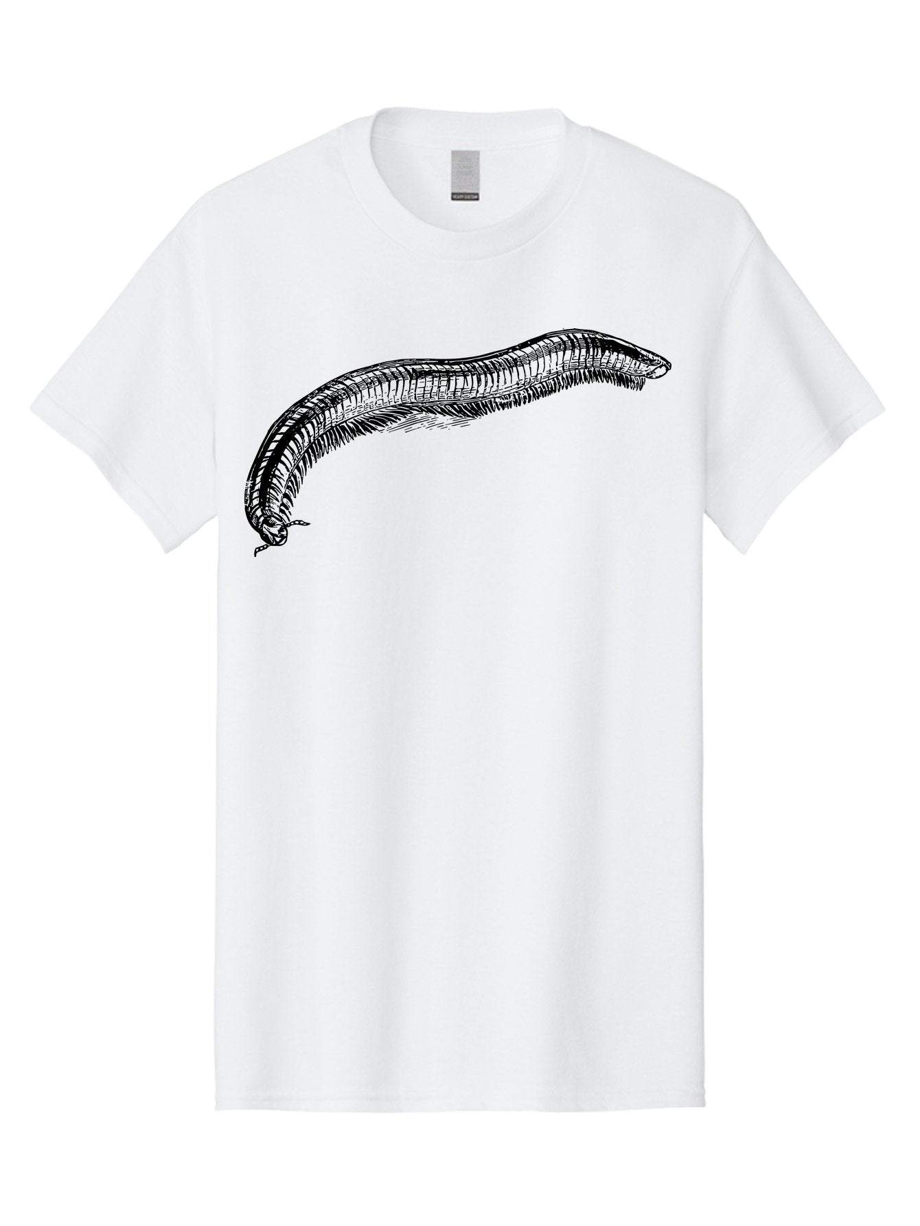 Centipede Men'S Graphic Tee, 100% Cotton, Comfortable Casual Summer Wear, Machine Washable, Centipede, Arthropod, Insect Anatomy, Detailed Drawing, Black Lines, Simple Background, Invertebrate, Segmented Body, Many Legs Aab522