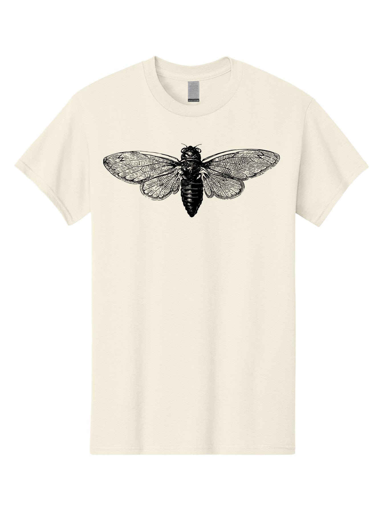 Cicada Men'S Graphic Tee, 100% Cotton, Comfortable Casual Summer Wear, Machine Washable, Cicada Insect, Insect Illustration, Bug Art, Entomology, Wildlife Graphics, Insect Wings, Detailed Drawing, Black And Green, Cicada Species Aab523 6