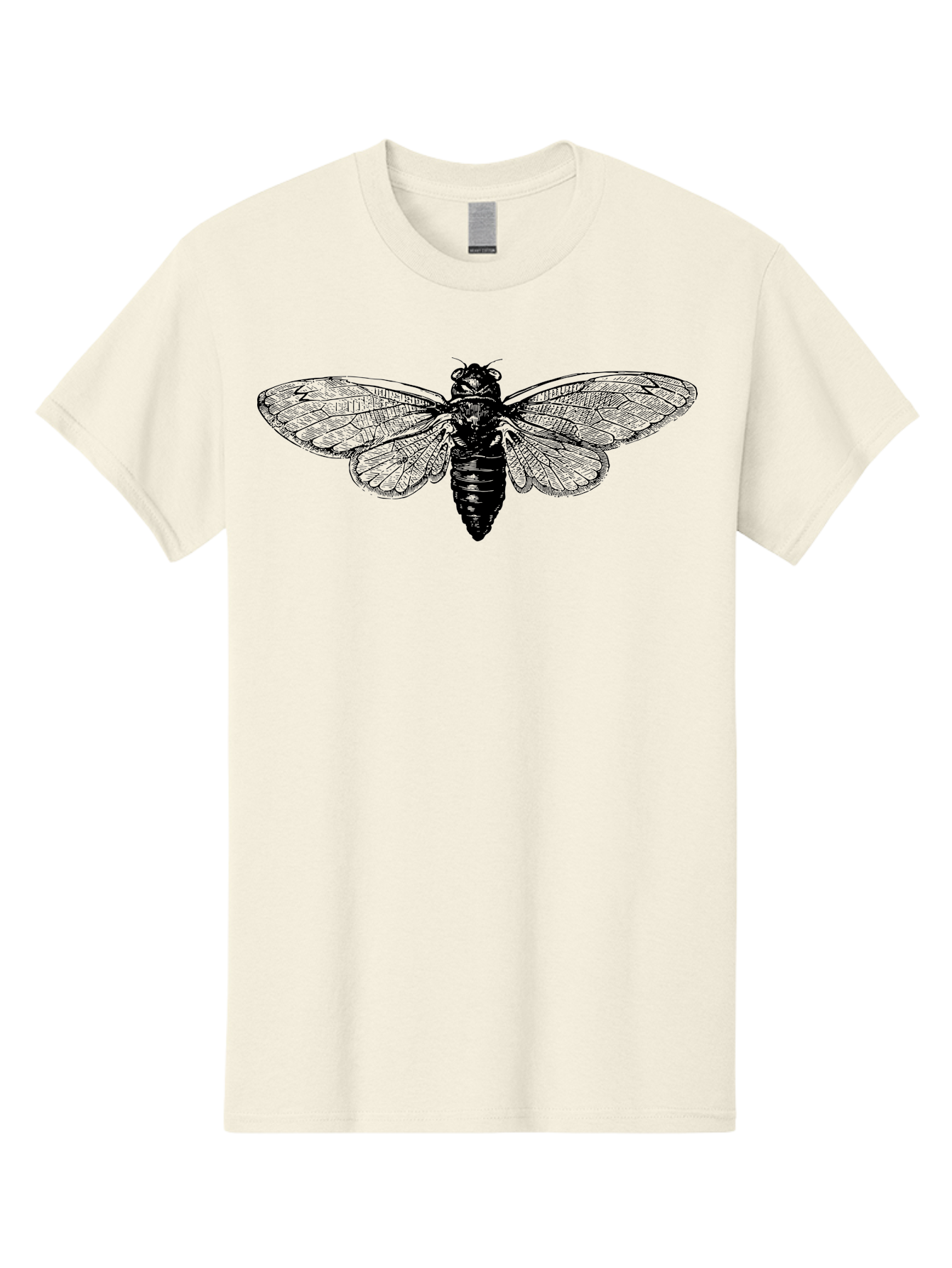 Cicada Men'S Graphic Tee, 100% Cotton, Comfortable Casual Summer Wear, Machine Washable, Cicada Insect, Insect Illustration, Bug Art, Entomology, Wildlife Graphics, Insect Wings, Detailed Drawing, Black And Green, Cicada Species Aab523 17