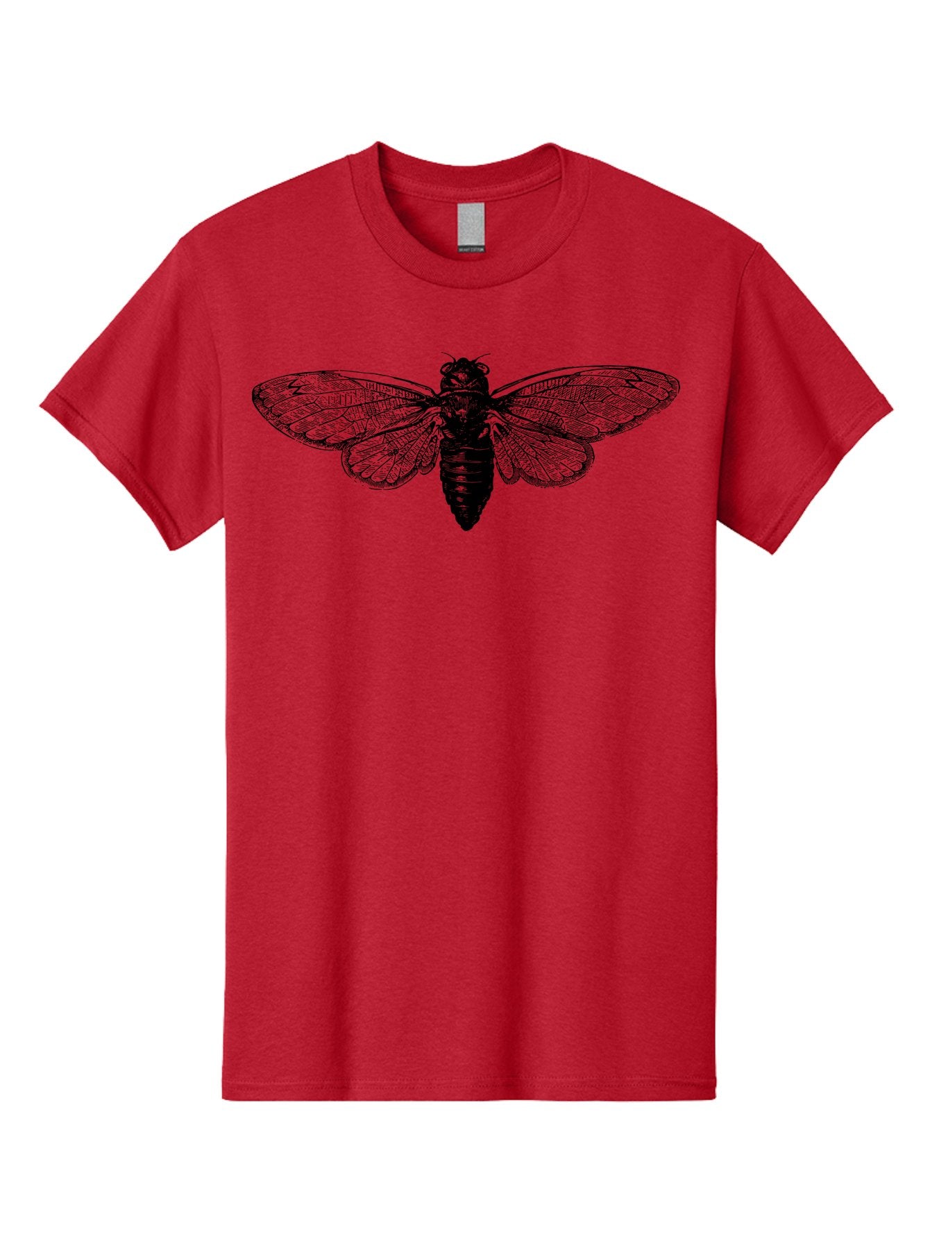 Cicada Men'S Graphic Tee, 100% Cotton, Comfortable Casual Summer Wear, Machine Washable, Cicada Insect, Insect Illustration, Bug Art, Entomology, Wildlife Graphics, Insect Wings, Detailed Drawing, Black And Green, Cicada Species Aab523