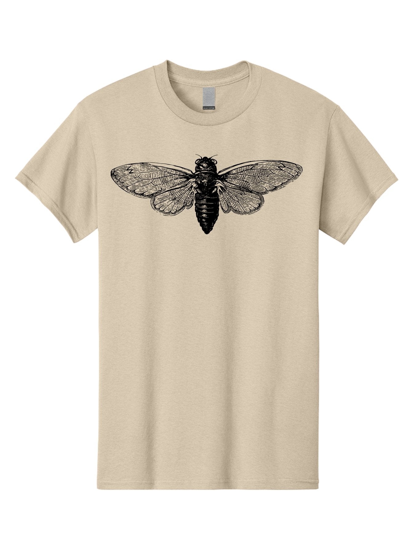 Cicada Men'S Graphic Tee, 100% Cotton, Comfortable Casual Summer Wear, Machine Washable, Cicada Insect, Insect Illustration, Bug Art, Entomology, Wildlife Graphics, Insect Wings, Detailed Drawing, Black And Green, Cicada Species Aab523 15