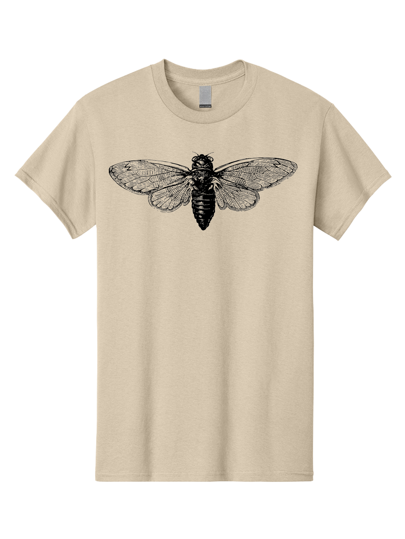 Cicada Men'S Graphic Tee, 100% Cotton, Comfortable Casual Summer Wear, Machine Washable, Cicada Insect, Insect Illustration, Bug Art, Entomology, Wildlife Graphics, Insect Wings, Detailed Drawing, Black And Green, Cicada Species Aab523 27