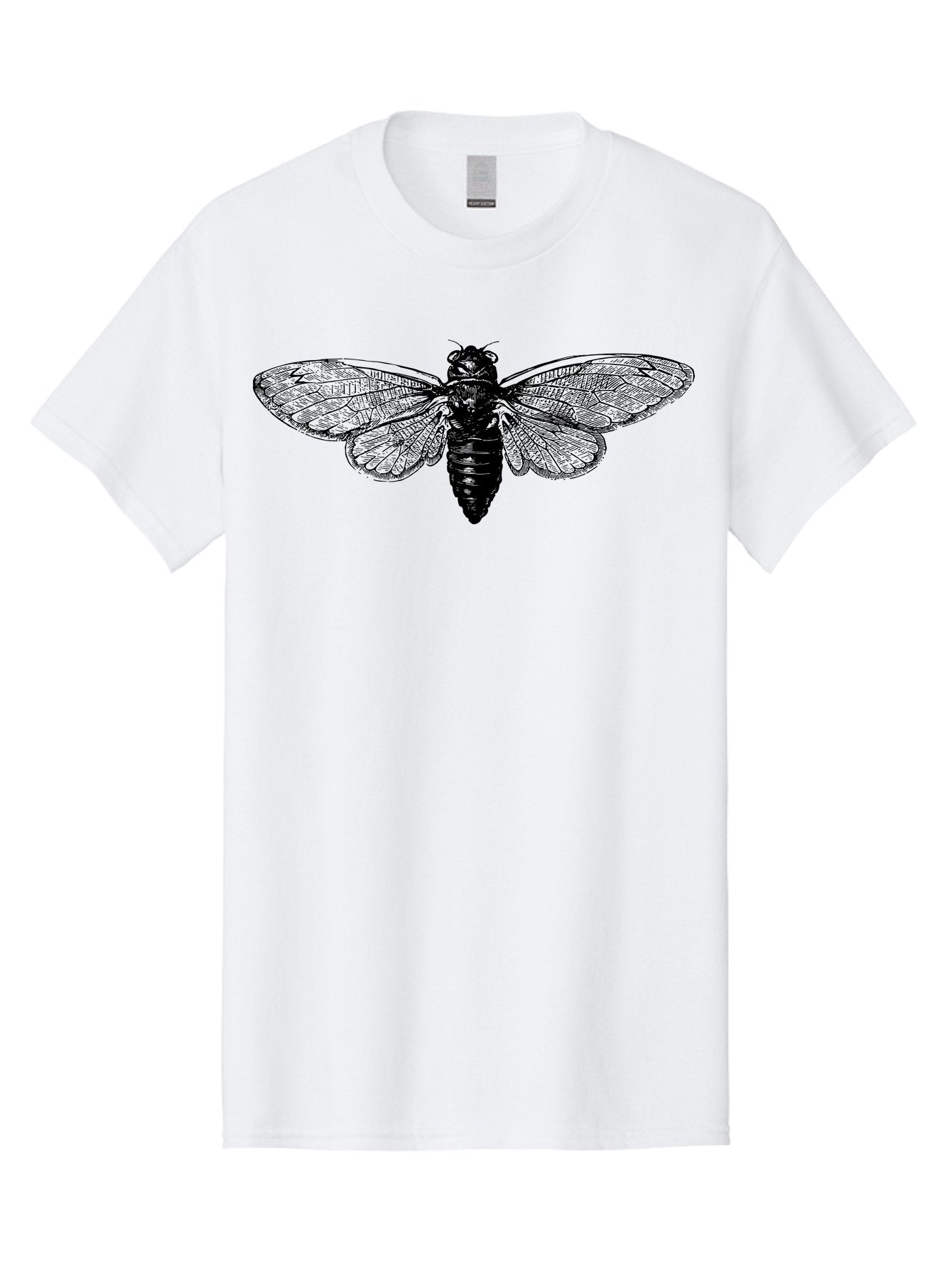 Cicada Men'S Graphic Tee, 100% Cotton, Comfortable Casual Summer Wear, Machine Washable, Cicada Insect, Insect Illustration, Bug Art, Entomology, Wildlife Graphics, Insect Wings, Detailed Drawing, Black And Green, Cicada Species Aab523 13