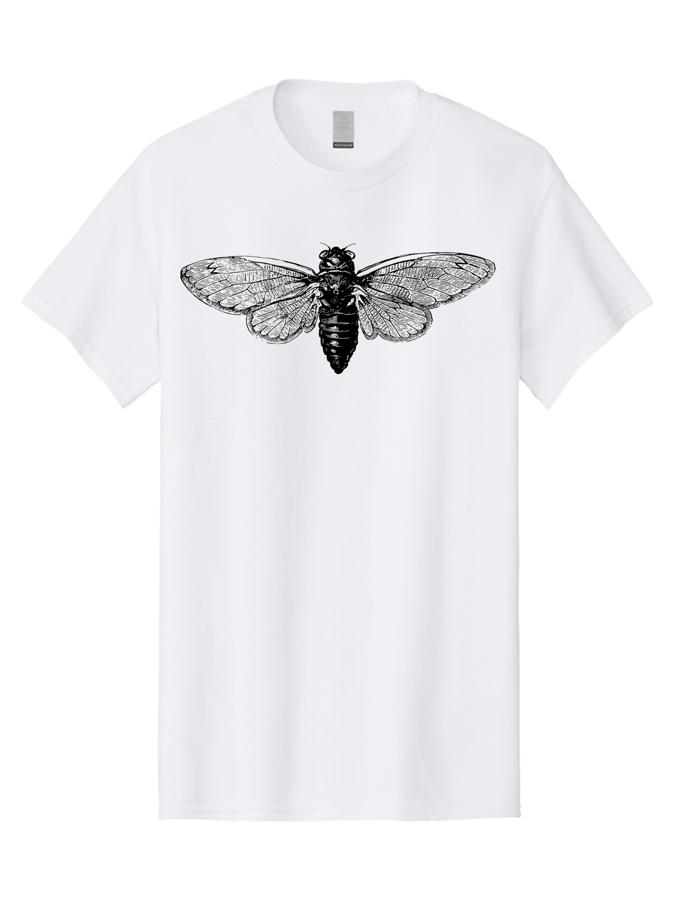 Cicada Men'S Graphic Tee, 100% Cotton, Comfortable Casual Summer Wear, Machine Washable, Cicada Insect, Insect Illustration, Bug Art, Entomology, Wildlife Graphics, Insect Wings, Detailed Drawing, Black And Green, Cicada Species Aab523 29