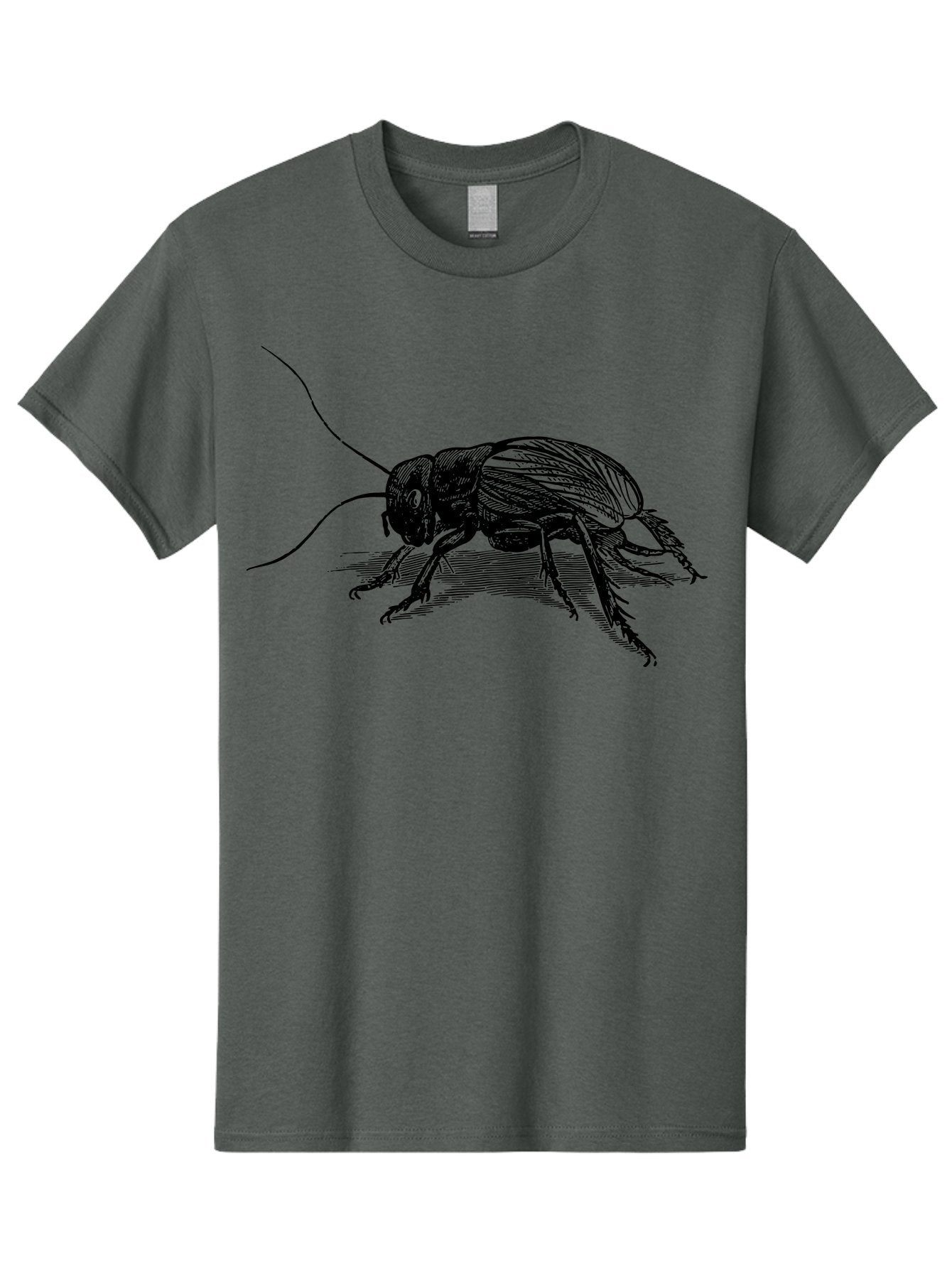 Cricket-2 Men'S Graphic Tee, 100% Cotton, Comfortable Casual Summer Wear, Machine Washable, Cricket Insect, Black Illustration, Detailed Drawing, Insect Anatomy, Entomology Art, Wildlife Illustration, Insect Wings, Long Antennae Aab525