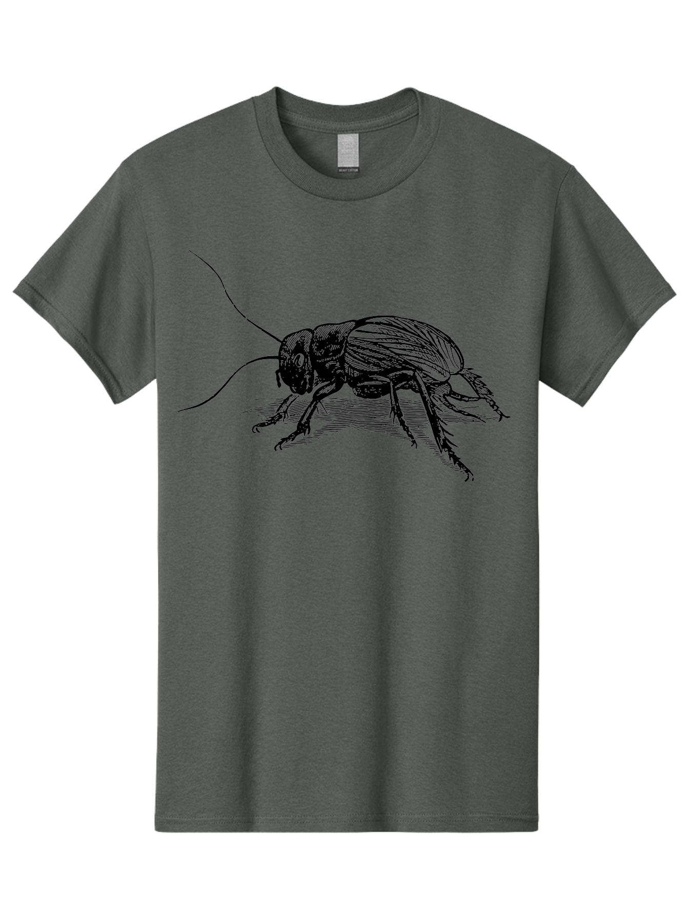 Cricket-2 Men'S Graphic Tee, 100% Cotton, Comfortable Casual Summer Wear, Machine Washable, Cricket Insect, Black Illustration, Detailed Drawing, Insect Anatomy, Entomology Art, Wildlife Illustration, Insect Wings, Long Antennae Aab525 3