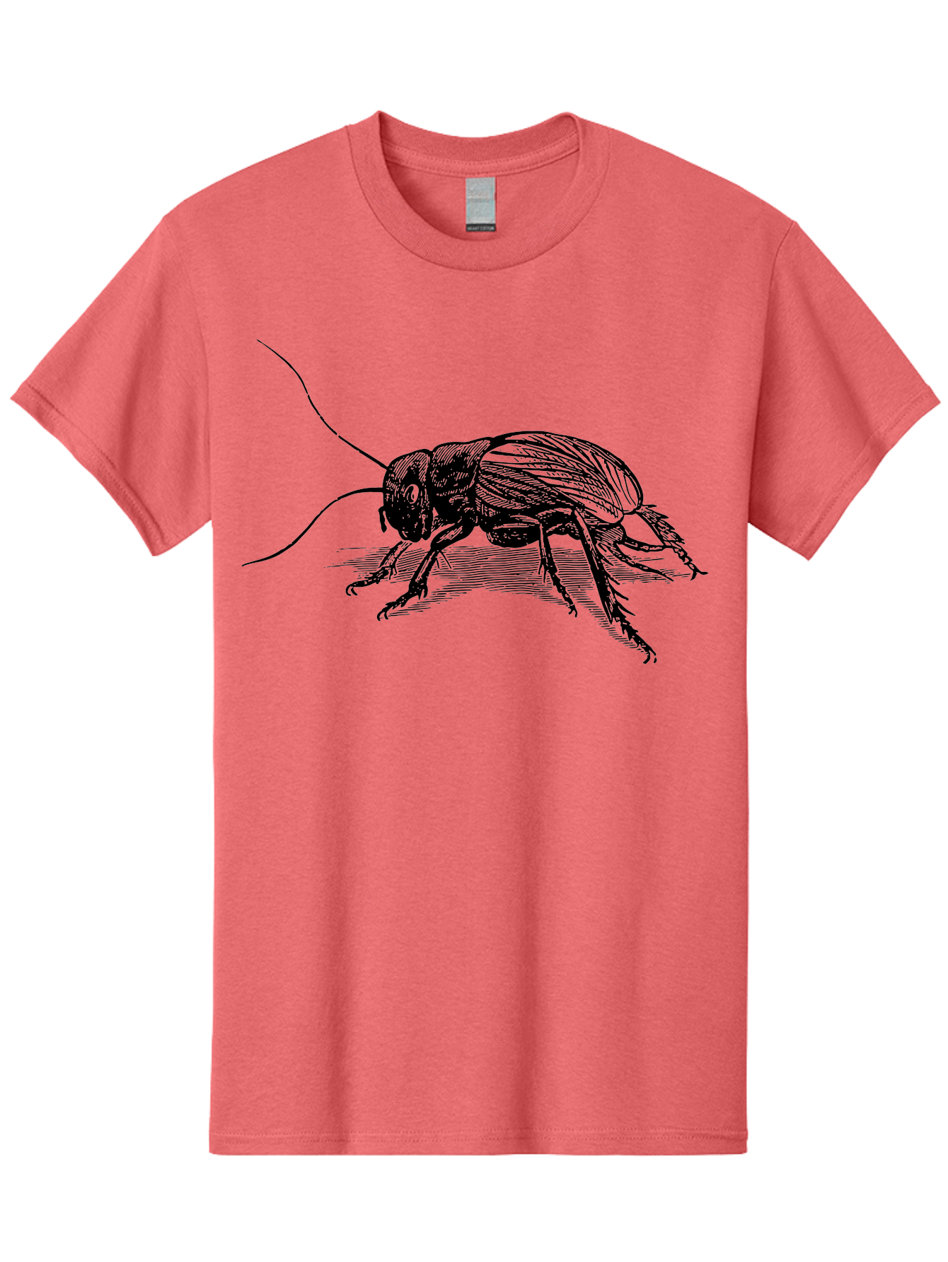 Cricket-2 Men'S Graphic Tee, 100% Cotton, Comfortable Casual Summer Wear, Machine Washable, Cricket Insect, Black Illustration, Detailed Drawing, Insect Anatomy, Entomology Art, Wildlife Illustration, Insect Wings, Long Antennae Aab525 5